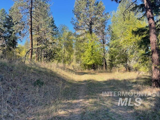 526 Ridgewood Drive, Kooskia, Idaho 83539, 3 Bedrooms, 2 Bathrooms, Residential For Sale, Price $365,000, 98925552