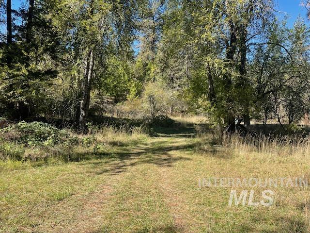 526 Ridgewood Drive, Kooskia, Idaho 83539, 3 Bedrooms, 2 Bathrooms, Residential For Sale, Price $365,000, 98925552