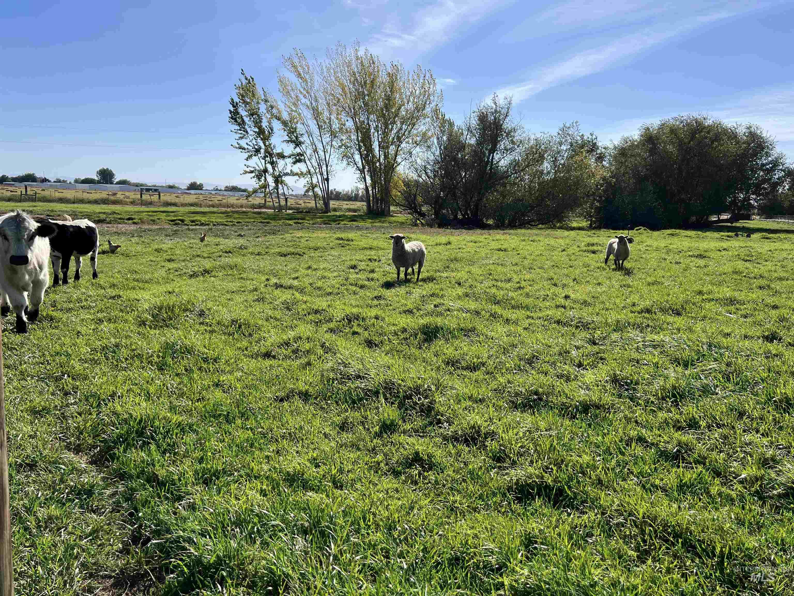 23319 Duff Lane, Middleton, Idaho 83644, 3 Bedrooms, 2 Bathrooms, Residential For Sale, Price $799,000, 98925561