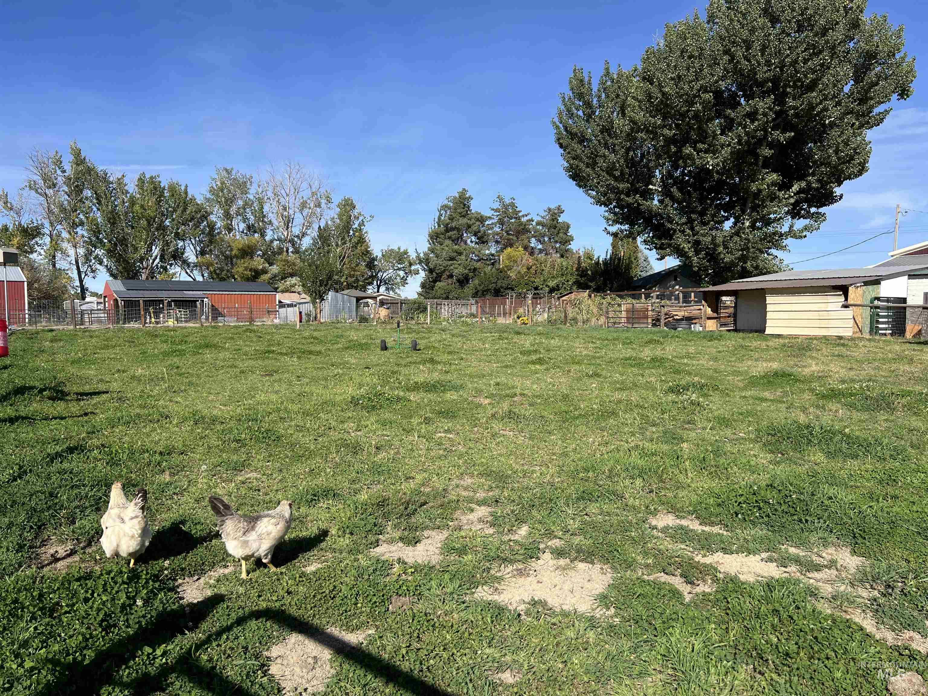 23319 Duff Lane, Middleton, Idaho 83644, 3 Bedrooms, 2 Bathrooms, Residential For Sale, Price $799,000, 98925561