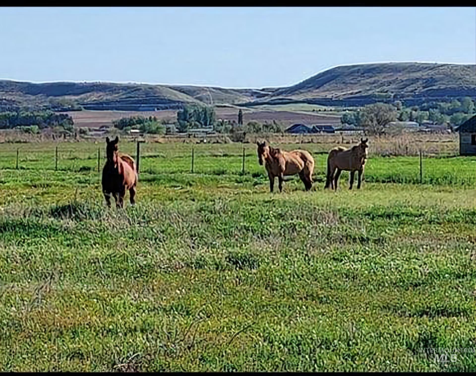 9221 Brill Road, Emmett, Idaho 83617, 4 Bedrooms, 2 Bathrooms, Residential For Sale, Price $875,000,MLS 98925685