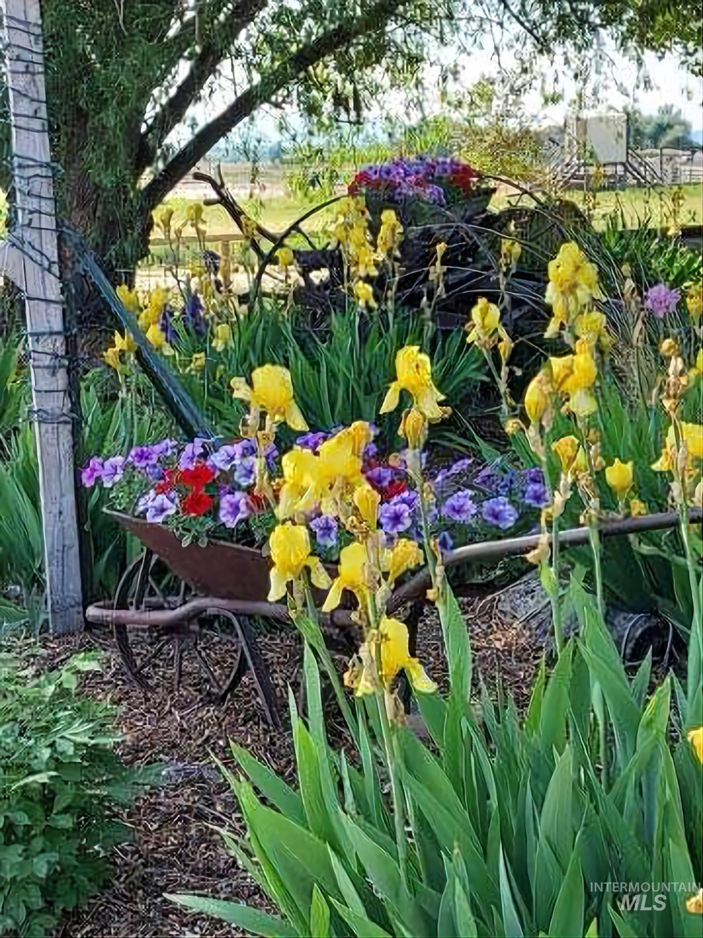 9221 Brill Road, Emmett, Idaho 83617, 3 Bedrooms, 2 Bathrooms, Residential For Sale, Price $750,000, 98925685