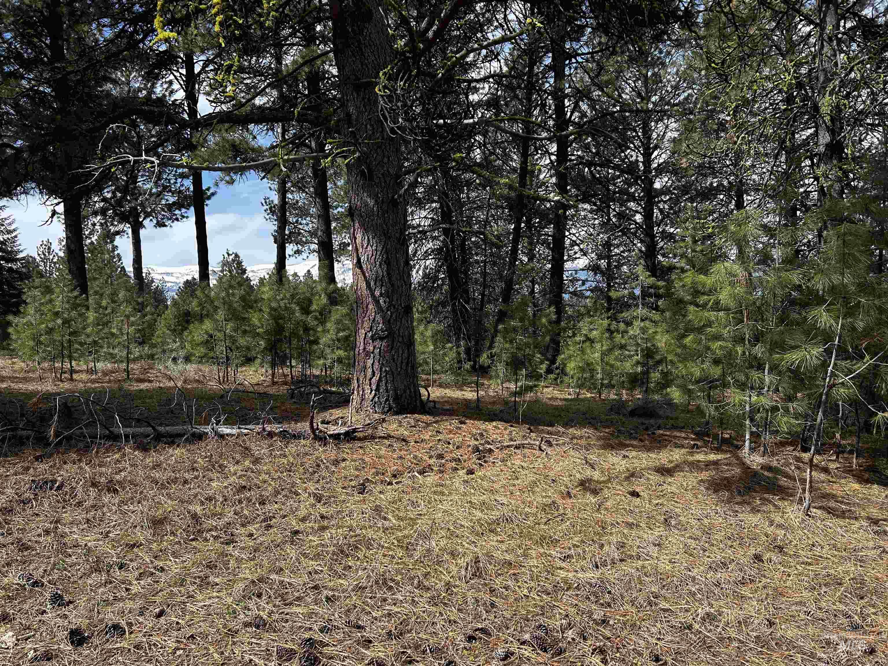1483 Pine Lakes Ranch rd, Cascade, Idaho 83611, Land For Sale, Price $390,000, 98925805
