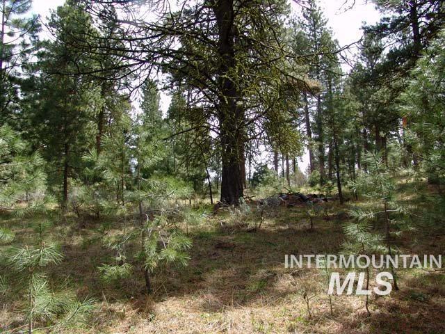 1483 Pine Lakes Ranch rd, Cascade, Idaho 83611, Land For Sale, Price $390,000, 98925805