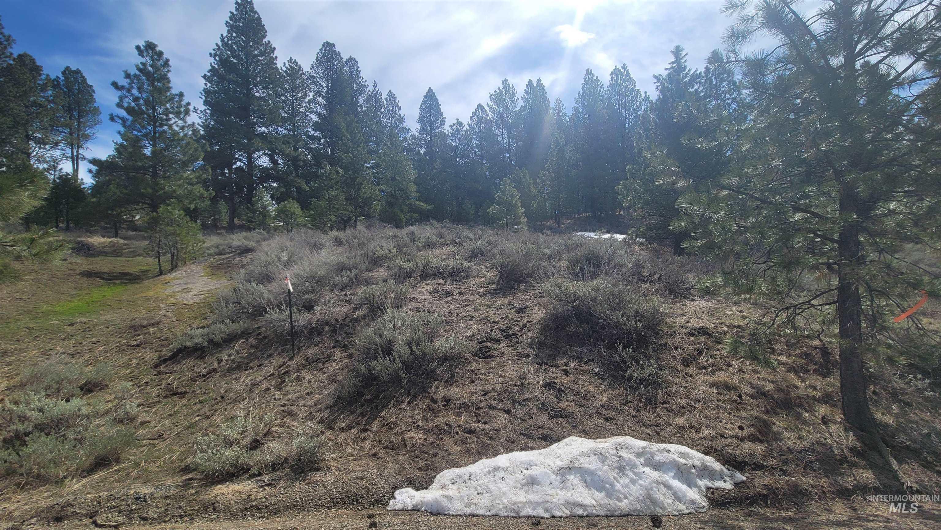 1483 Pine Lakes Ranch rd, Cascade, Idaho 83611, Land For Sale, Price $390,000, 98925805