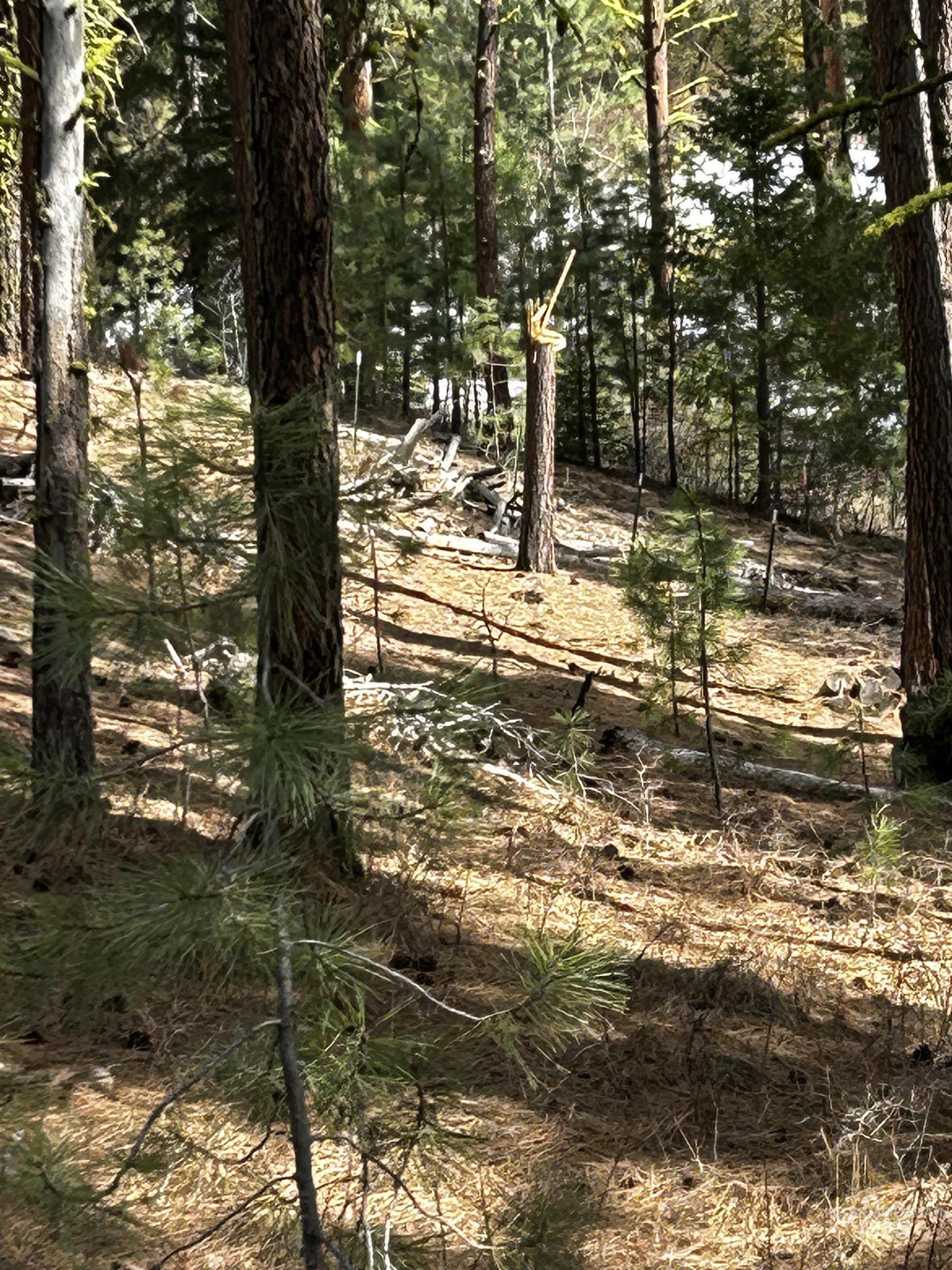 1483 Pine Lakes Ranch rd, Cascade, Idaho 83611, Land For Sale, Price $390,000, 98925805