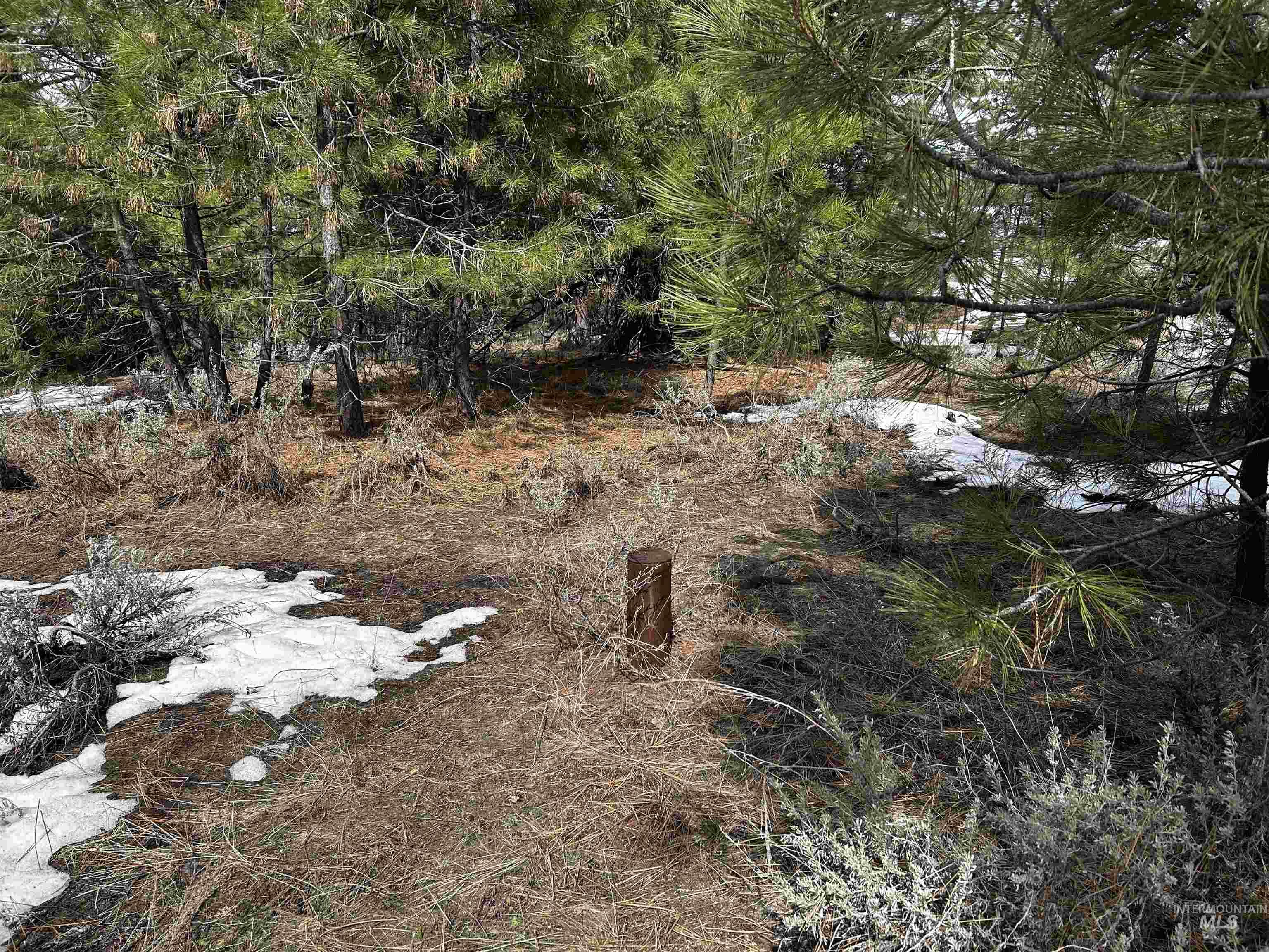 1483 Pine Lakes Ranch rd, Cascade, Idaho 83611, Land For Sale, Price $390,000, 98925805