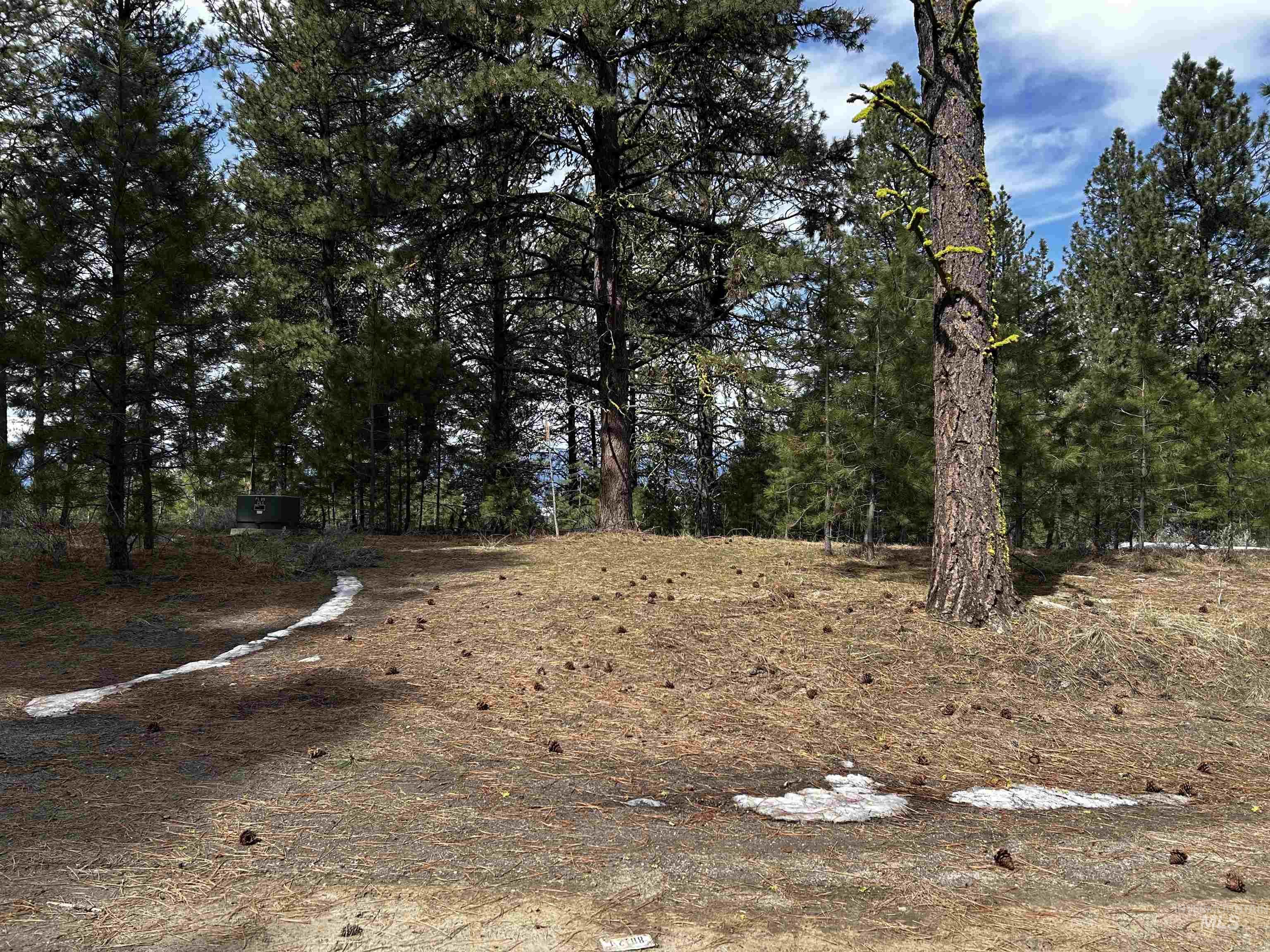 1483 Pine Lakes Ranch rd, Cascade, Idaho 83611, Land For Sale, Price $390,000, 98925805