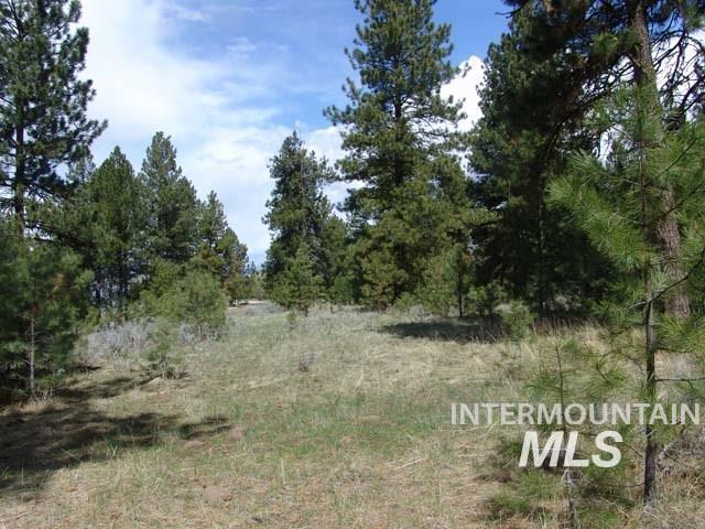 1483 Pine Lakes Ranch rd, Cascade, Idaho 83611, Land For Sale, Price $390,000, 98925805