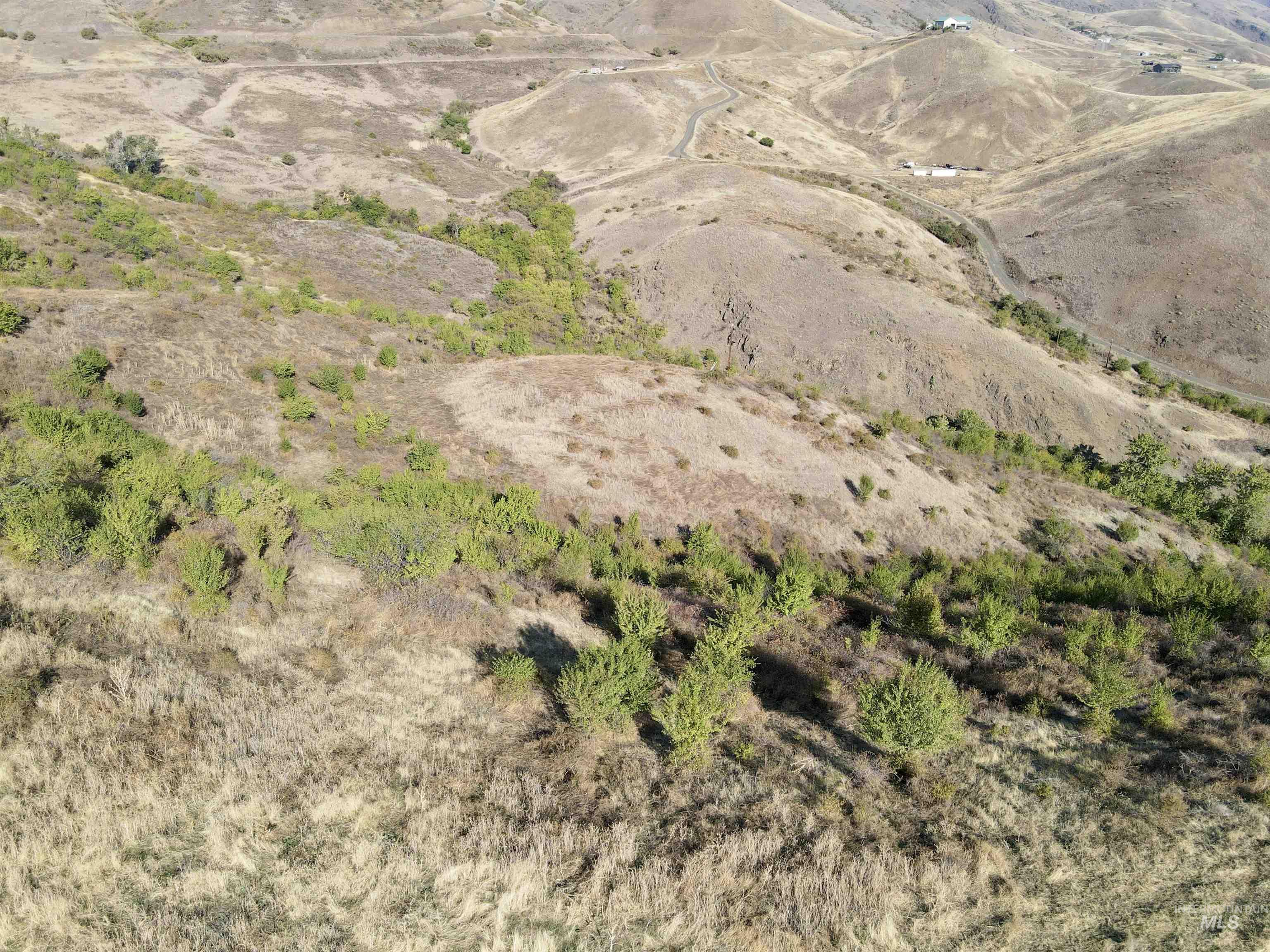 Lot 9 Salmon View Road, White Bird, Idaho 83554, Land For Sale, Price $295,000, 98925831