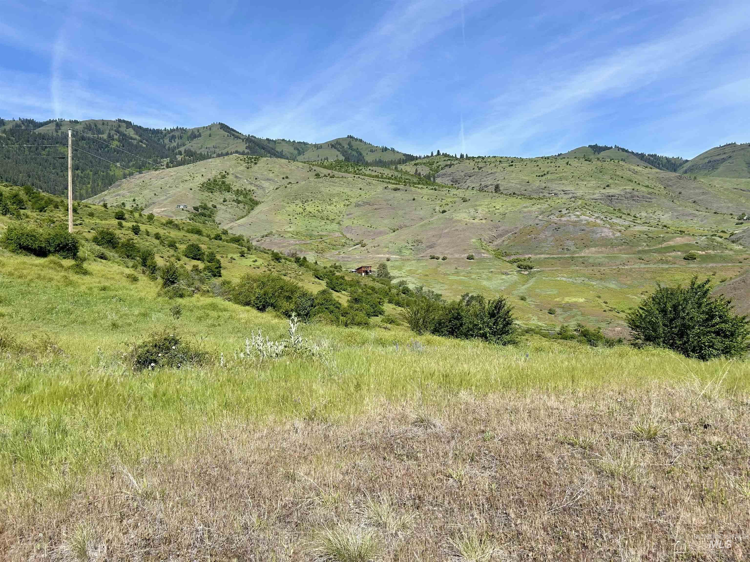 Lot 9 Salmon View Road, White Bird, Idaho 83554, Land For Sale, Price $295,000, 98925831