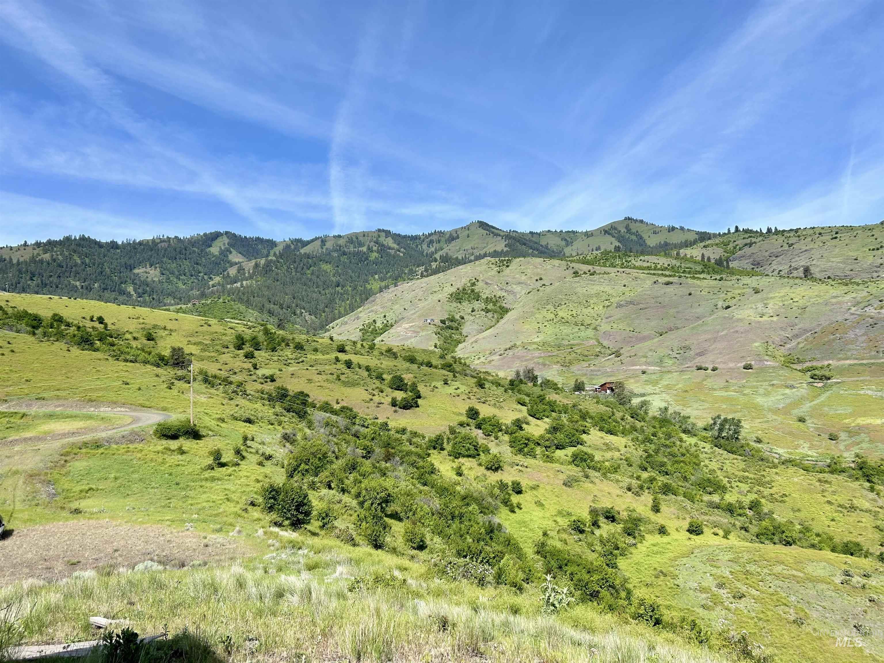 Lot 9 Salmon View Road, White Bird, Idaho 83554, Land For Sale, Price $295,000, 98925831