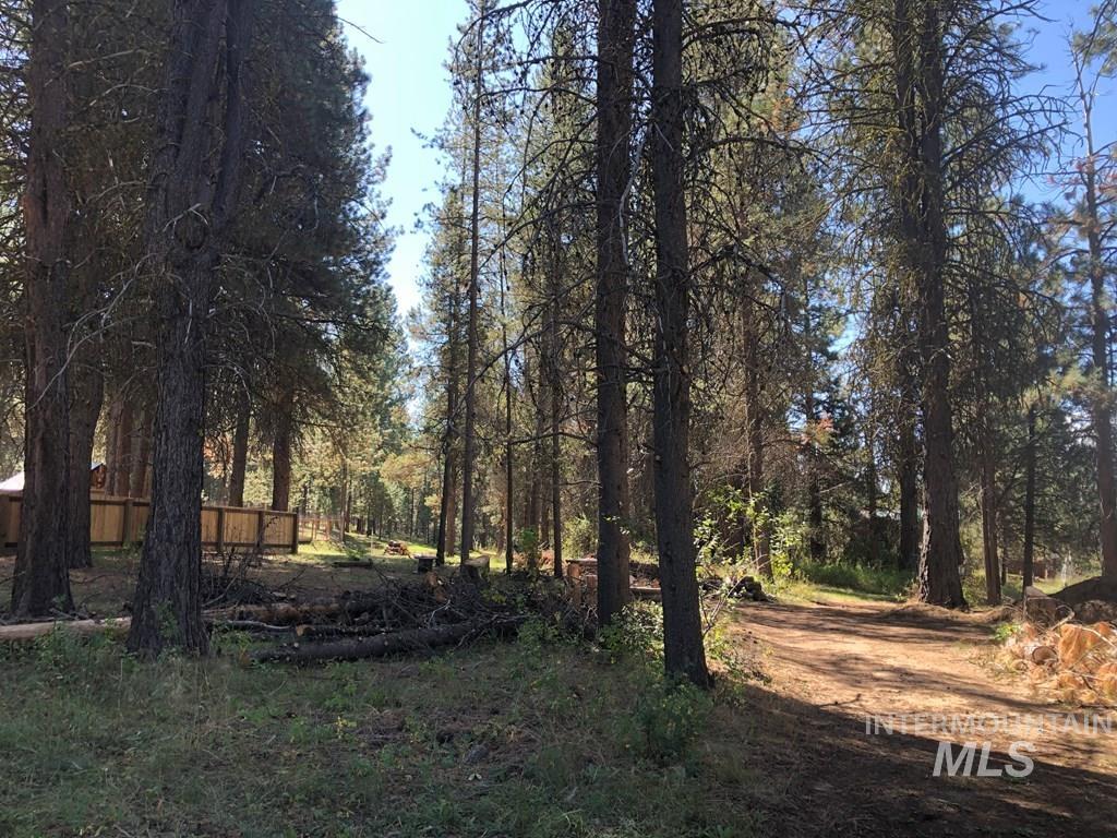 1909 Gold Dust Rd, Cascade, Idaho 83611, Land For Sale, Price $99,900,MLS 98926132