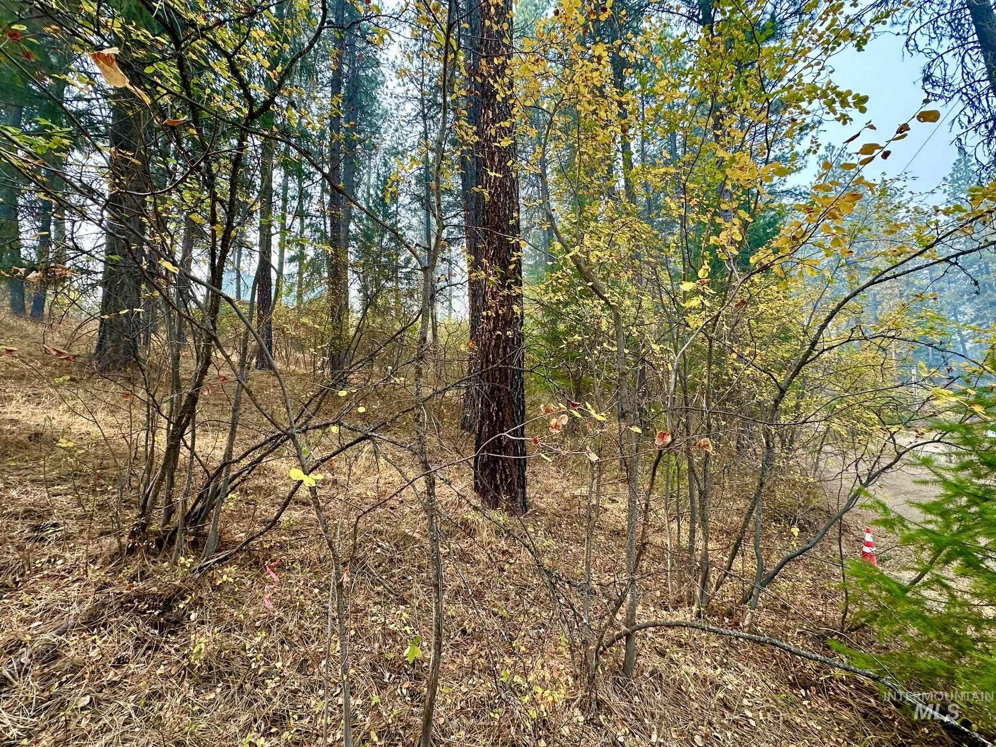 lot 85 Happy Hollow Dr, Garden Valley, Idaho 83622, Land For Sale, Price $75,000,MLS 98926338