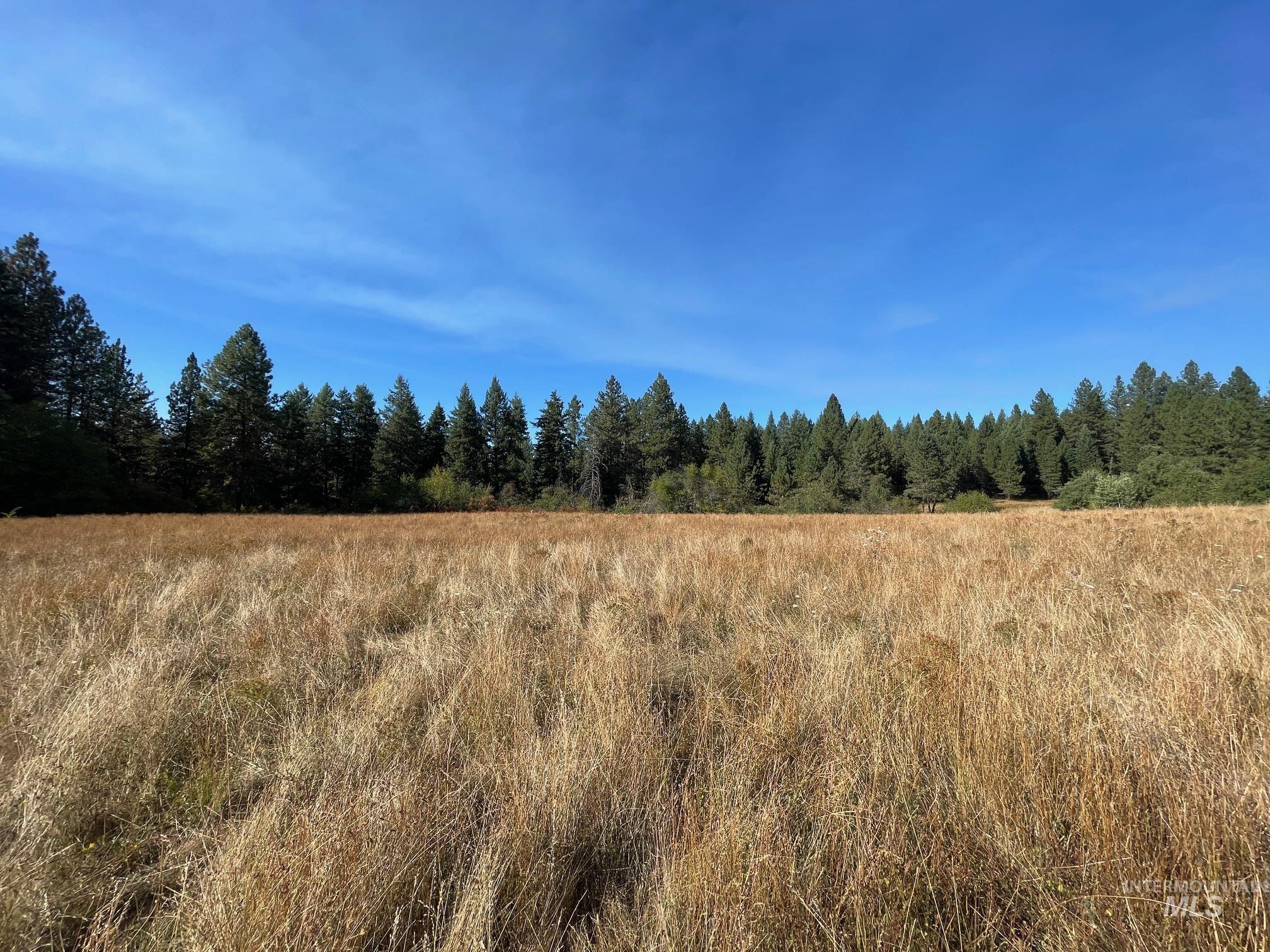 181 Harris Ridge Loop, Kooskia, Idaho 83539, 3 Bedrooms, 3 Bathrooms, Residential For Sale, Price $1,200,000, 98926375