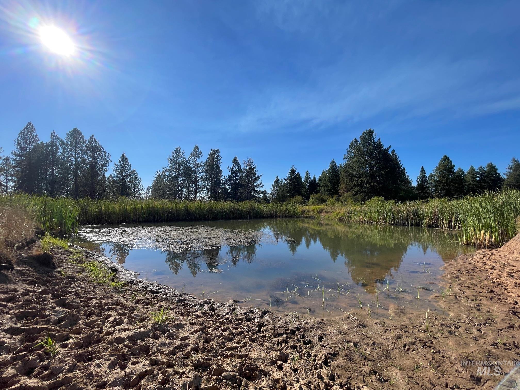 181 Harris Ridge Loop, Kooskia, Idaho 83539, 3 Bedrooms, 3 Bathrooms, Residential For Sale, Price $1,200,000, 98926375