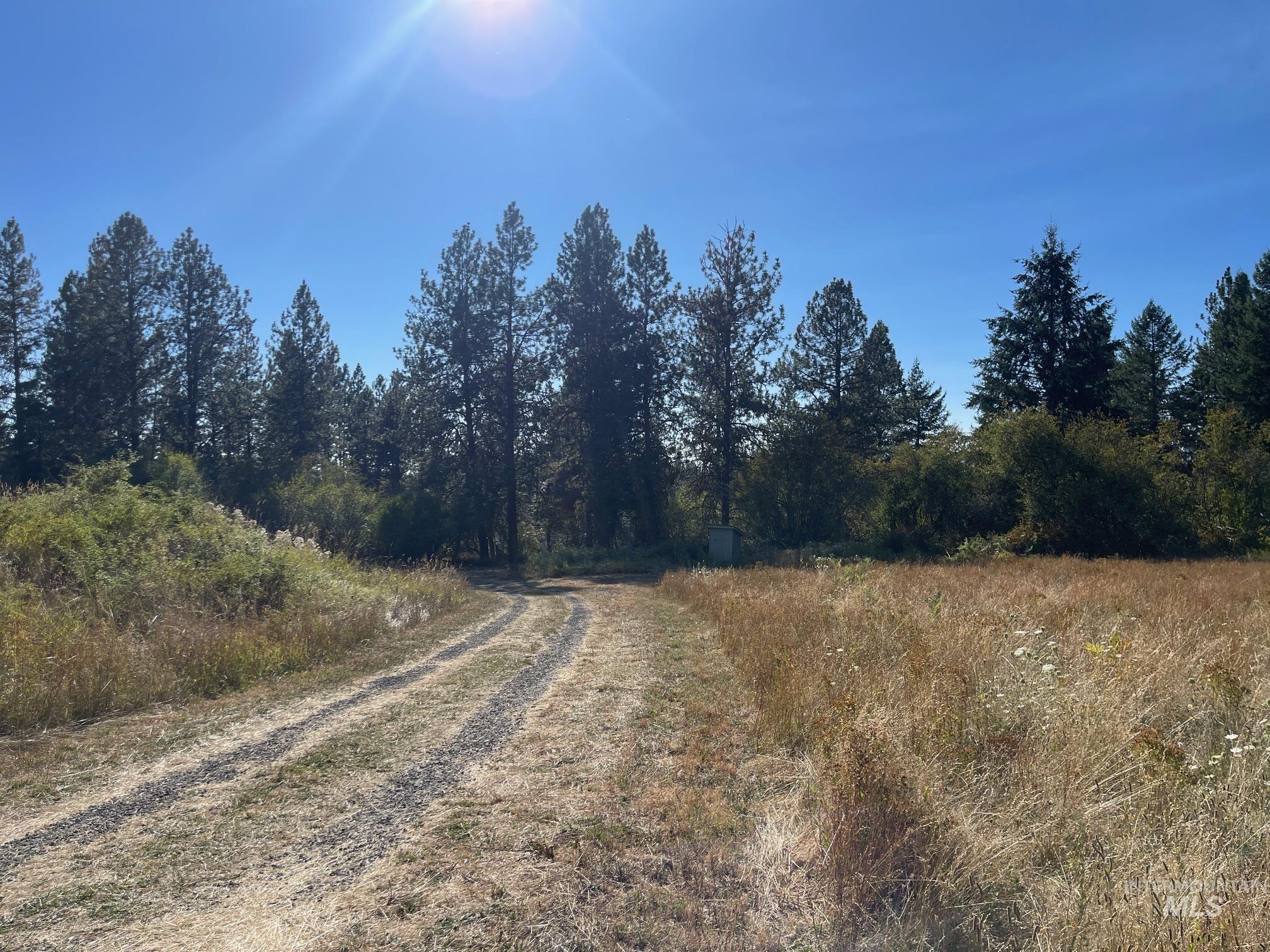 181 Harris Ridge Loop, Kooskia, Idaho 83539, 3 Bedrooms, 3 Bathrooms, Residential For Sale, Price $1,200,000, 98926375