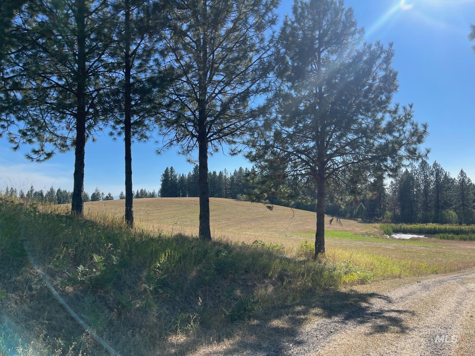 181 Harris Ridge Loop, Kooskia, Idaho 83539, 3 Bedrooms, 3 Bathrooms, Residential For Sale, Price $1,200,000, 98926375