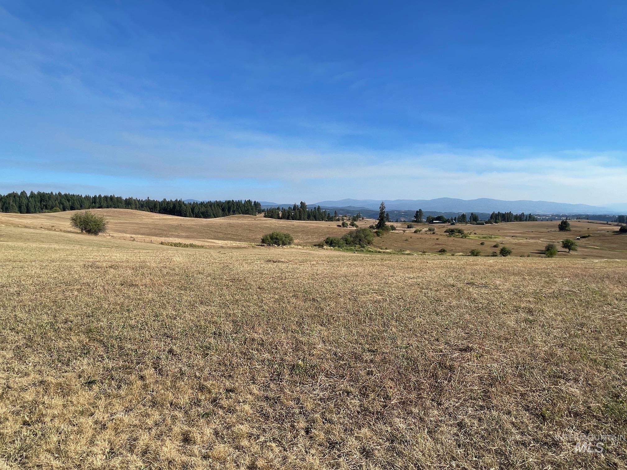 181 Harris Ridge Loop, Kooskia, Idaho 83539, 3 Bedrooms, 3 Bathrooms, Residential For Sale, Price $1,200,000, 98926375