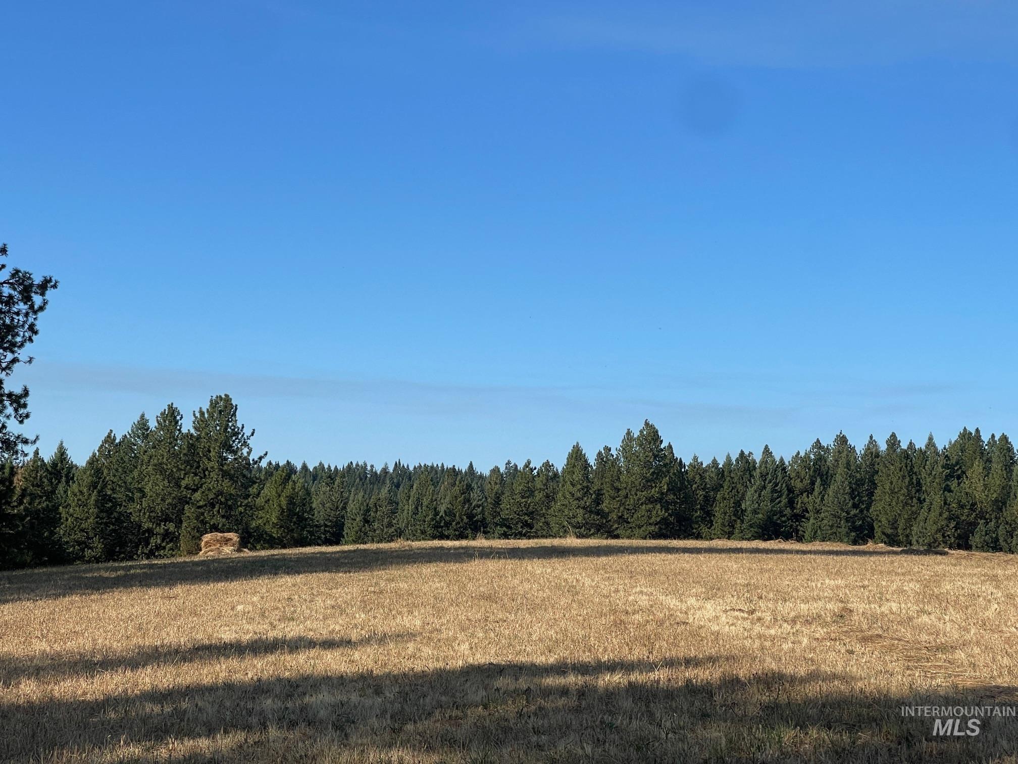 181 Harris Ridge Loop, Kooskia, Idaho 83539, 3 Bedrooms, 3 Bathrooms, Residential For Sale, Price $1,200,000, 98926375