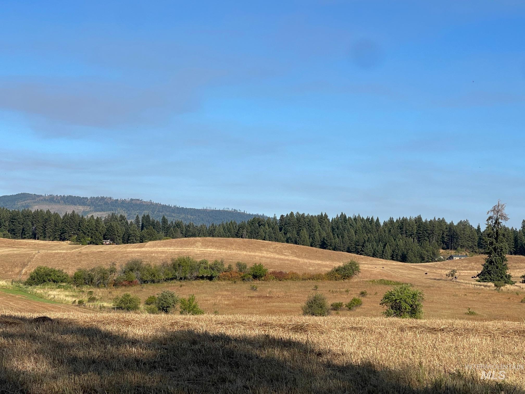 181 Harris Ridge Loop, Kooskia, Idaho 83539, 3 Bedrooms, 3 Bathrooms, Residential For Sale, Price $1,200,000, 98926375