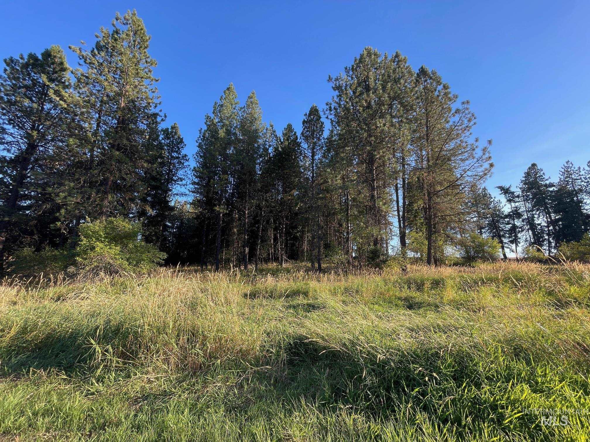 181 Harris Ridge Loop, Kooskia, Idaho 83539, 3 Bedrooms, 3 Bathrooms, Residential For Sale, Price $1,200,000, 98926375