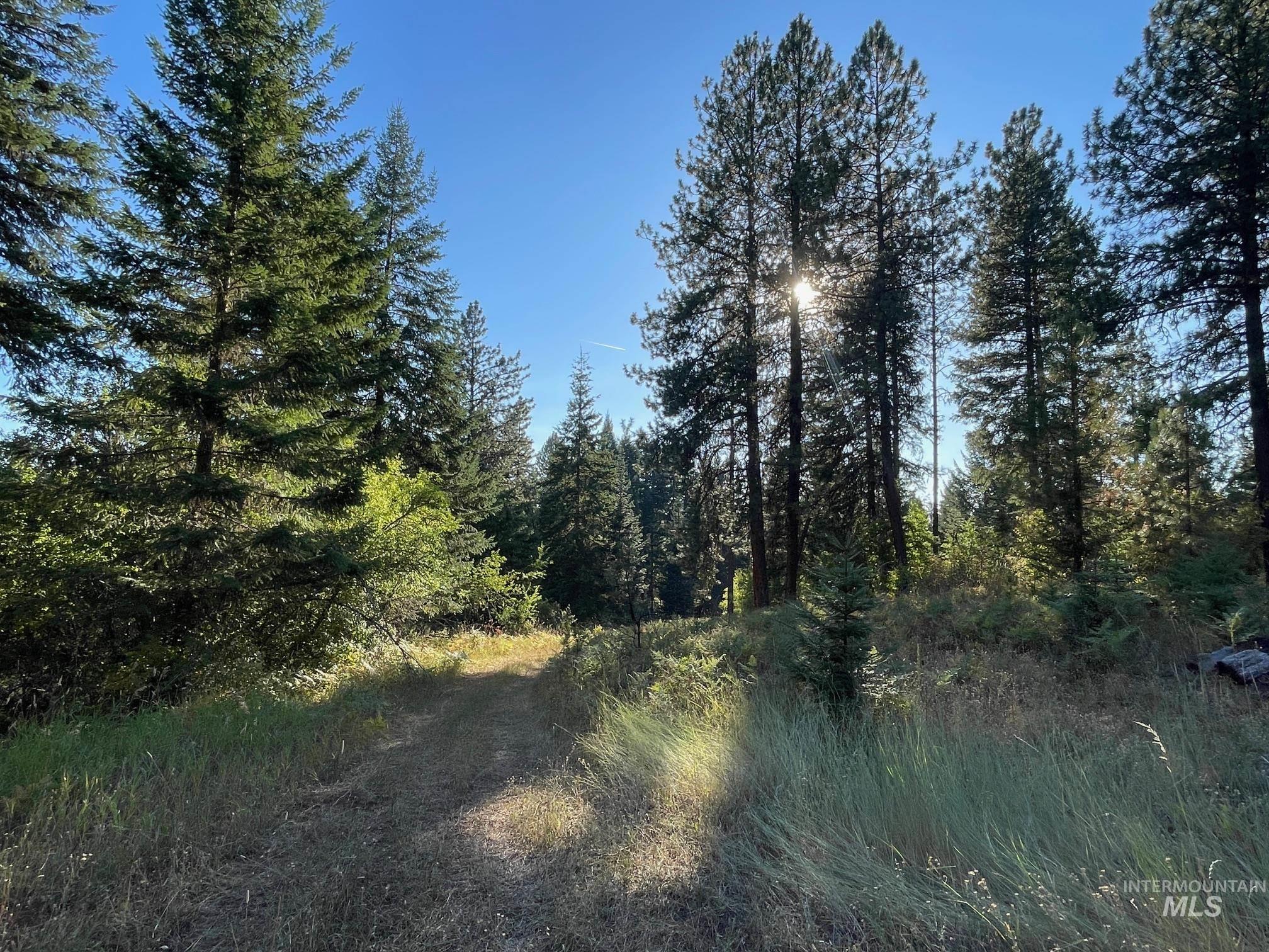 181 Harris Ridge Loop, Kooskia, Idaho 83539, 3 Bedrooms, 3 Bathrooms, Residential For Sale, Price $1,200,000, 98926375