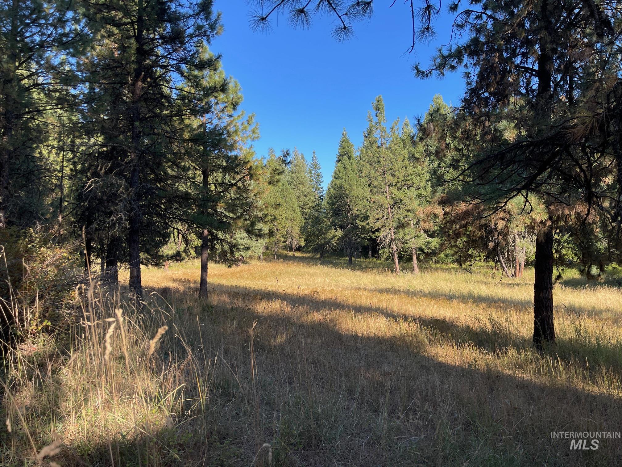 181 Harris Ridge Loop, Kooskia, Idaho 83539, 3 Bedrooms, 3 Bathrooms, Residential For Sale, Price $1,200,000, 98926375