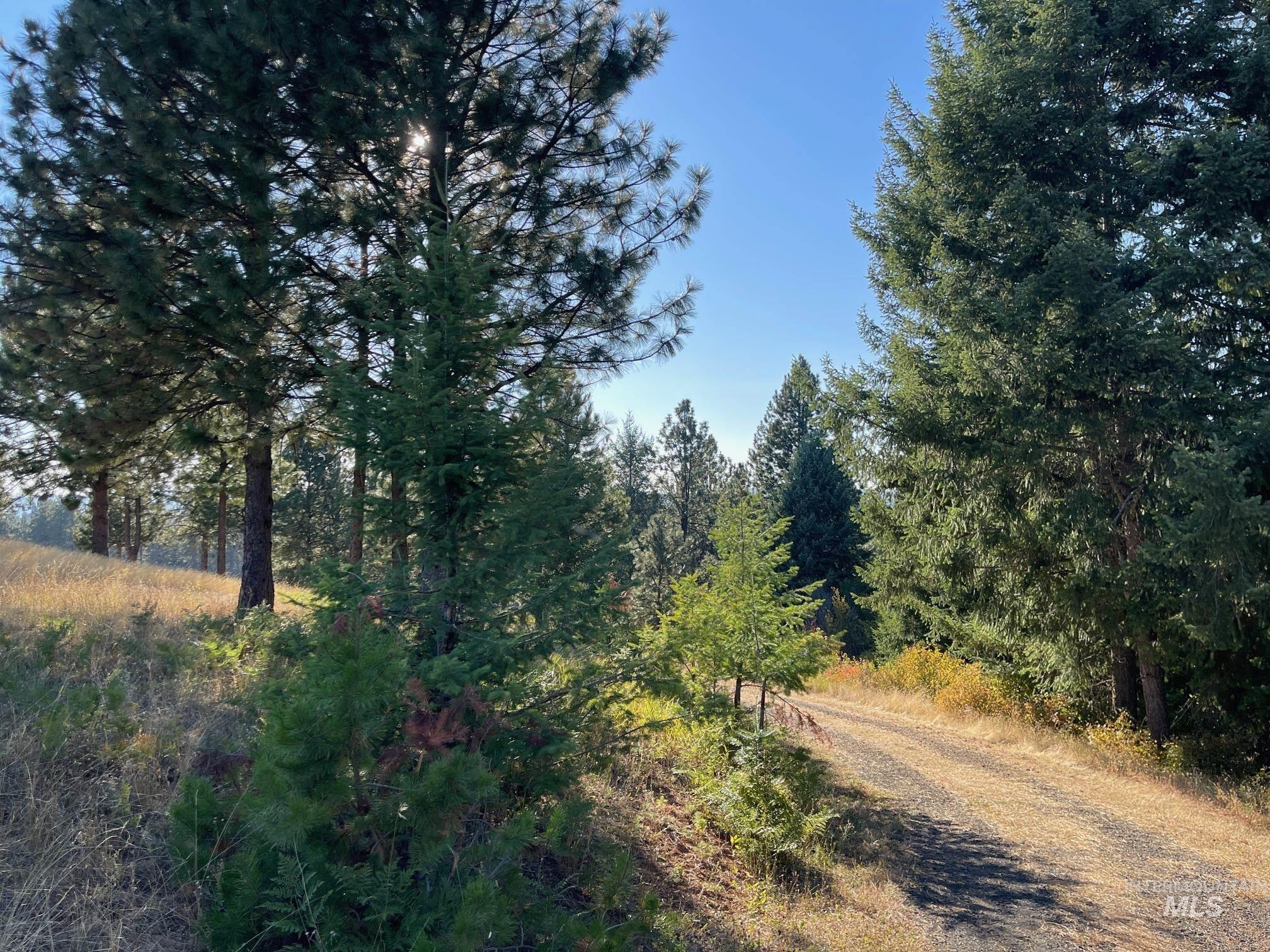 181 Harris Ridge Loop, Kooskia, Idaho 83539, 3 Bedrooms, 3 Bathrooms, Residential For Sale, Price $1,200,000, 98926375