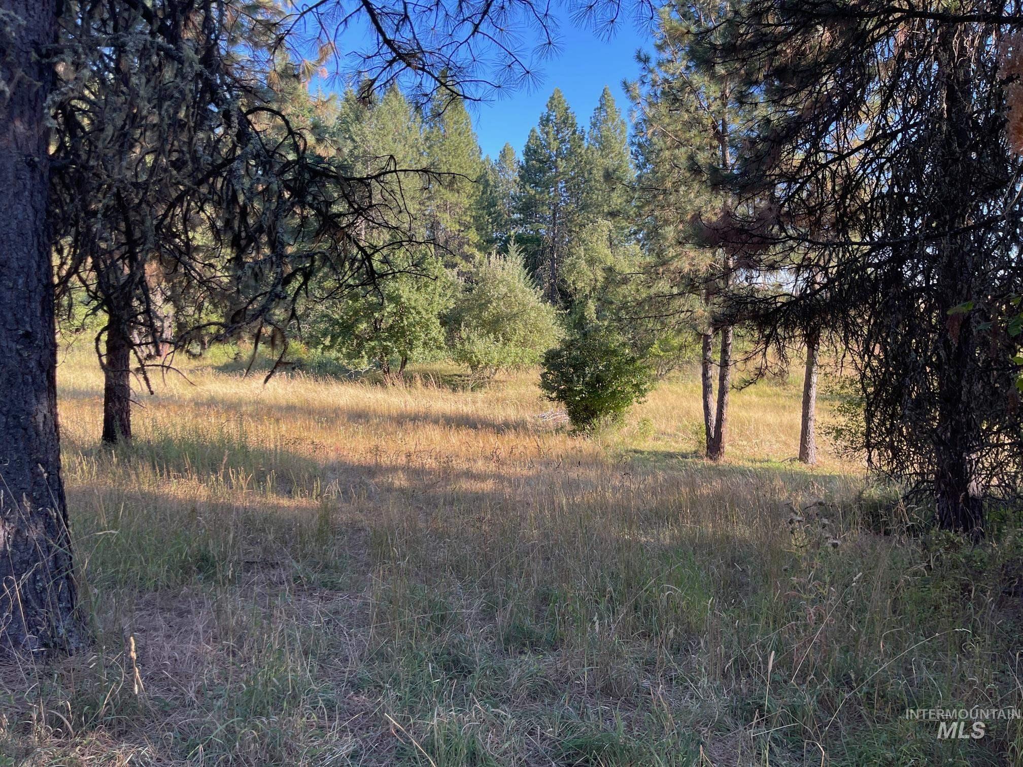 181 Harris Ridge Loop, Kooskia, Idaho 83539, 3 Bedrooms, 3 Bathrooms, Residential For Sale, Price $1,200,000, 98926375