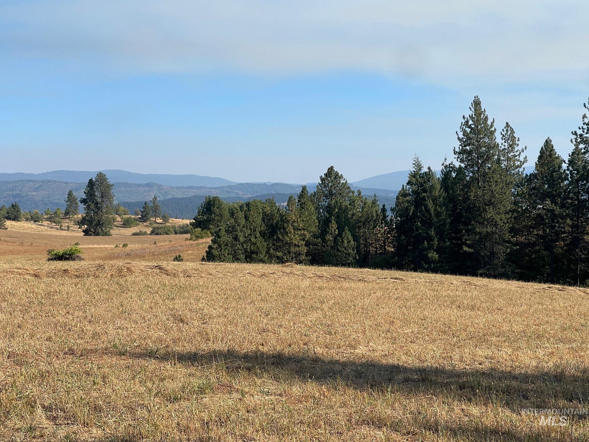 181 Harris Ridge Loop, Kooskia, Idaho 83539, 3 Bedrooms, 3 Bathrooms, Residential For Sale, Price $1,200,000, 98926375