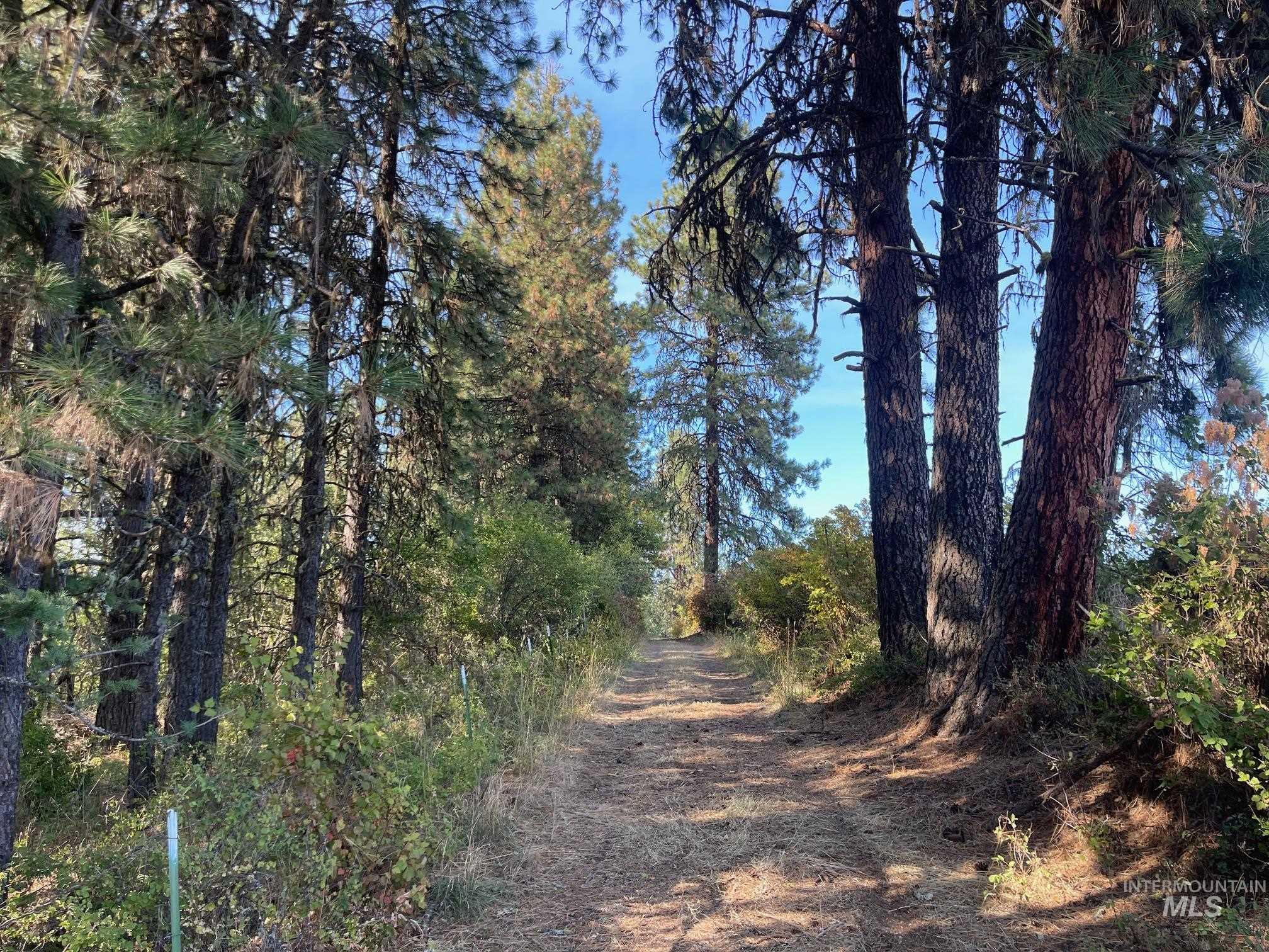 181 Harris Ridge Loop, Kooskia, Idaho 83539, 3 Bedrooms, 3 Bathrooms, Residential For Sale, Price $1,200,000, 98926375