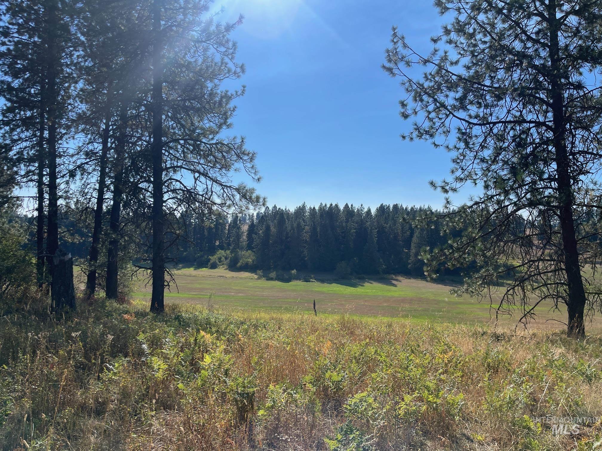 181 Harris Ridge Loop, Kooskia, Idaho 83539, 3 Bedrooms, 3 Bathrooms, Residential For Sale, Price $1,200,000, 98926375