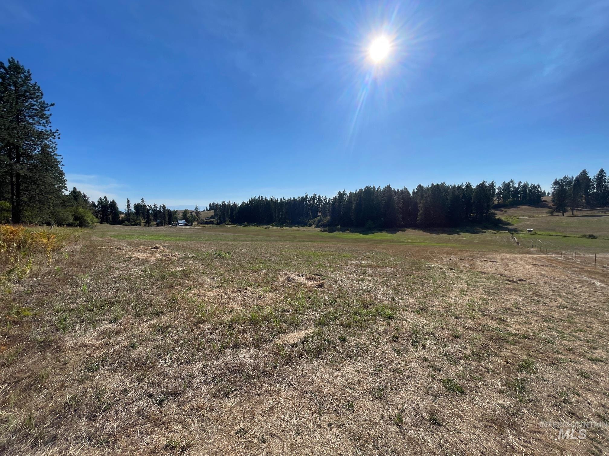 181 Harris Ridge Loop, Kooskia, Idaho 83539, 3 Bedrooms, 3 Bathrooms, Residential For Sale, Price $1,200,000, 98926375