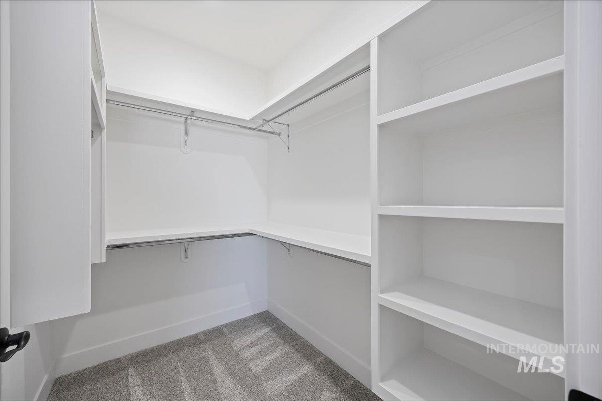 Spacious closet featuring light colored carpet