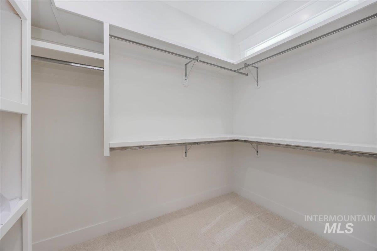 Spacious closet featuring light carpet