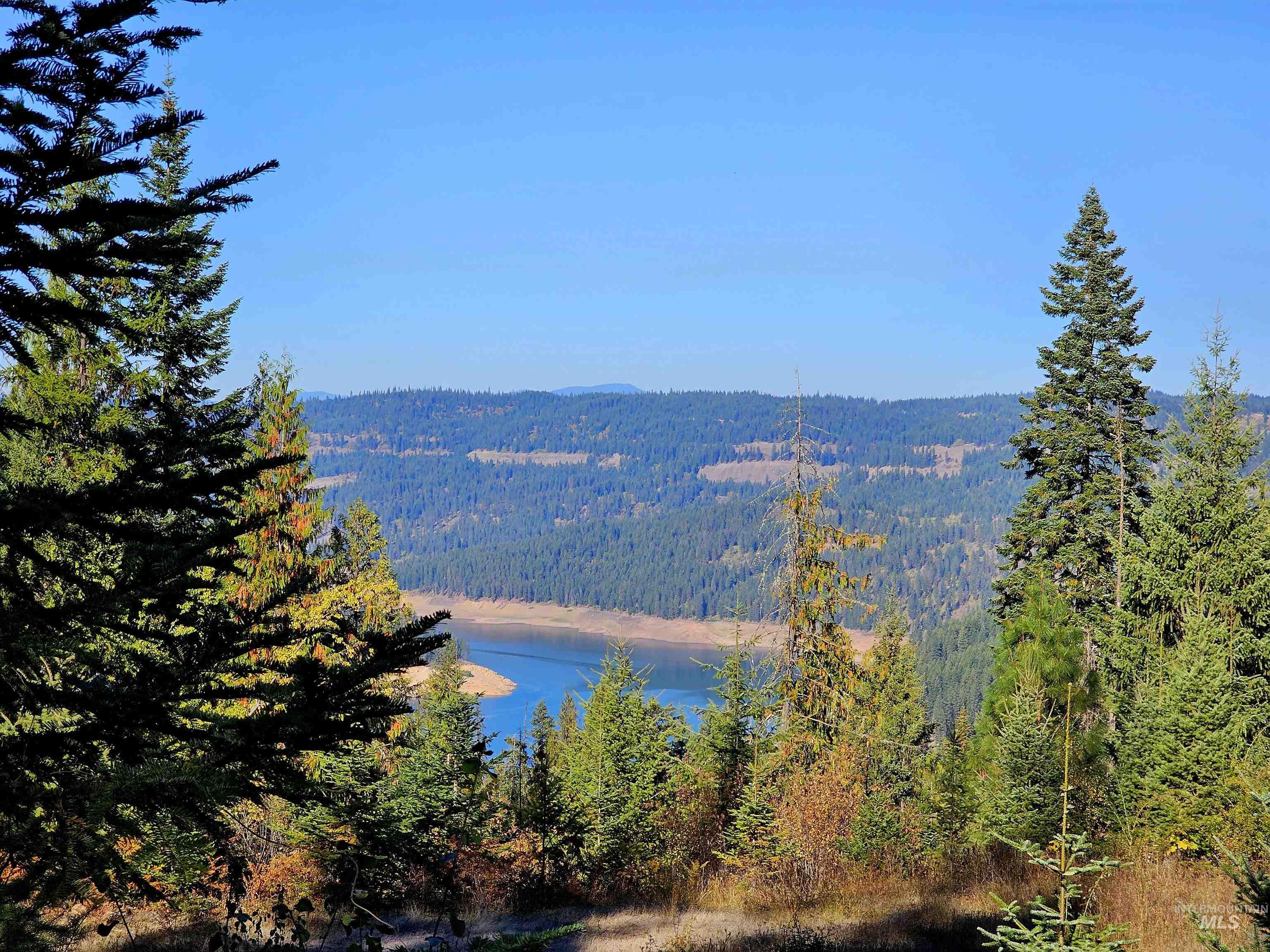 TBD Cedar Ridge Drive, Orofino, Idaho 83544, Land For Sale, Price $195,000,MLS 98926428