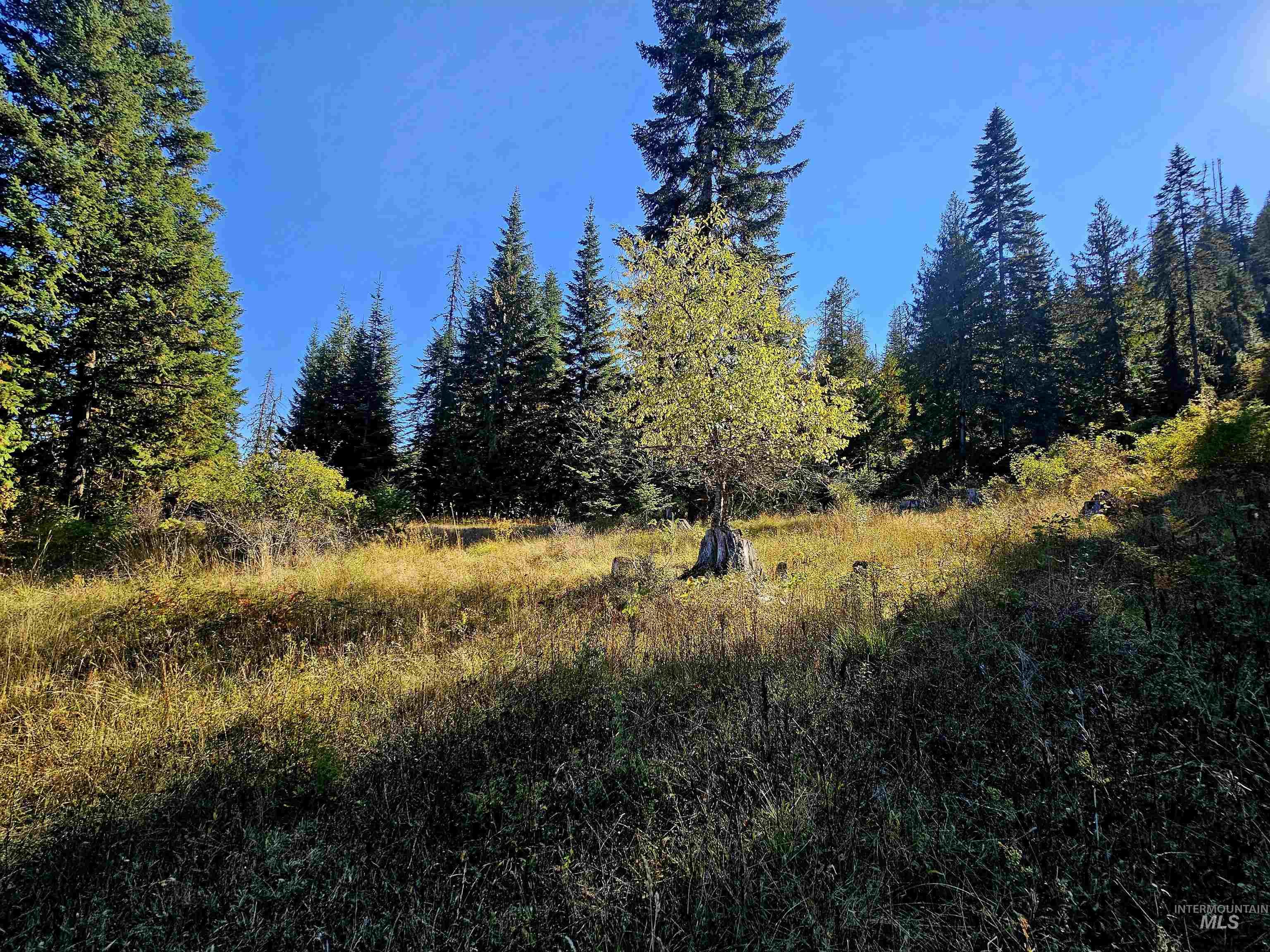 TBD Cedar Ridge Drive, Orofino, Idaho 83544, Land For Sale, Price $195,000,MLS 98926428