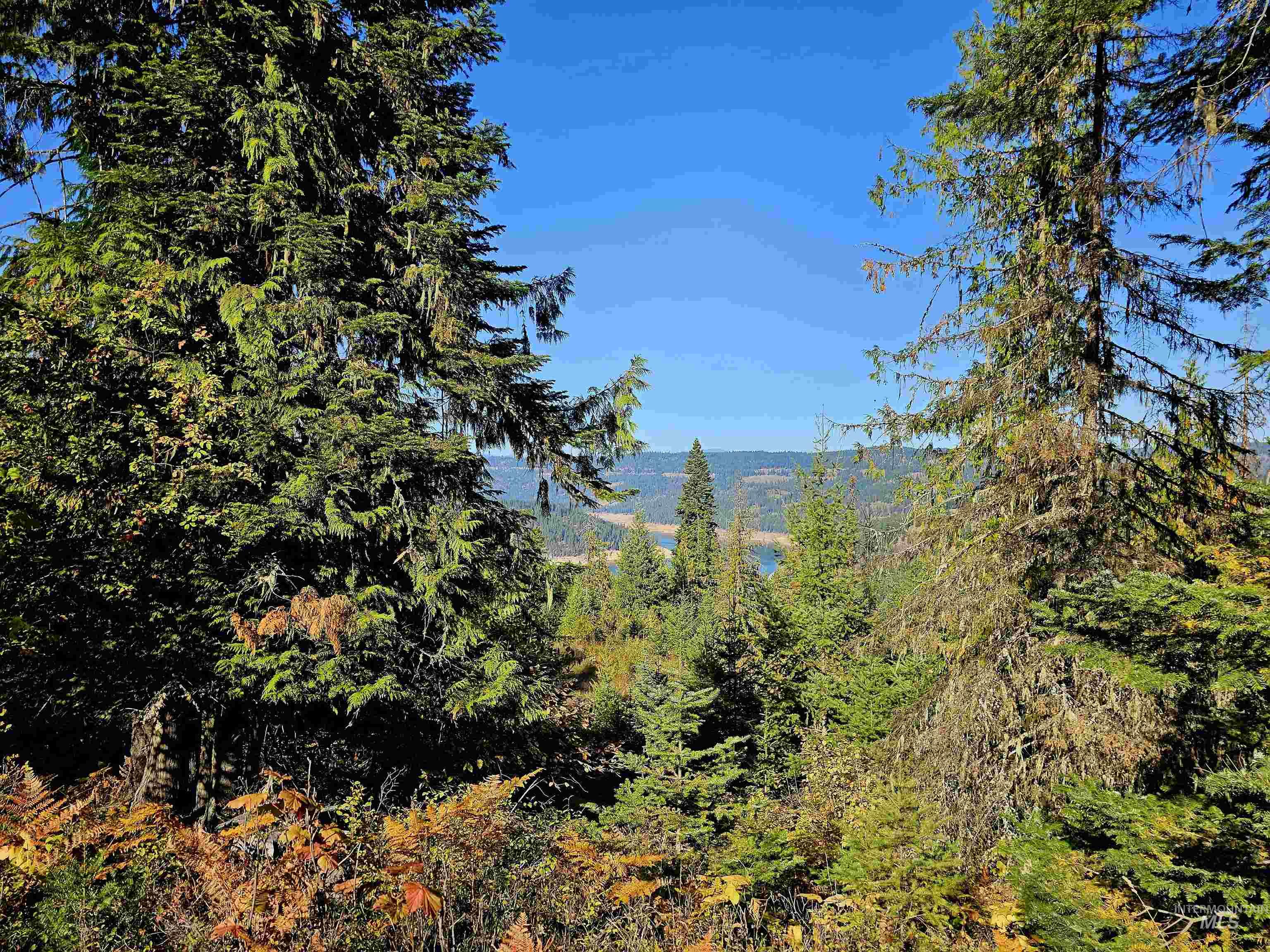 TBD Cedar Ridge Drive, Orofino, Idaho 83544, Land For Sale, Price $195,000,MLS 98926428