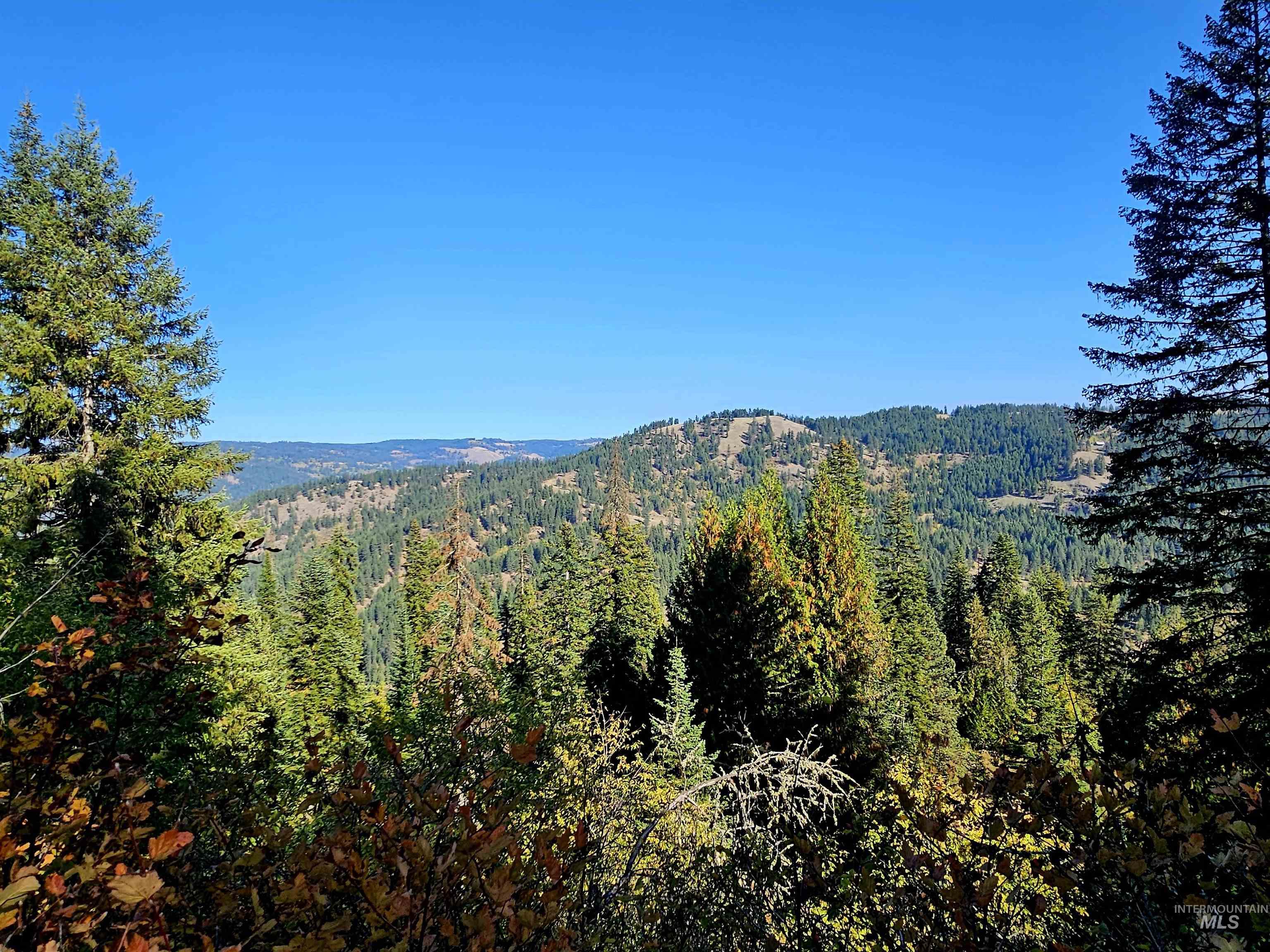 TBD Cedar Ridge Drive, Orofino, Idaho 83544, Land For Sale, Price $195,000,MLS 98926428