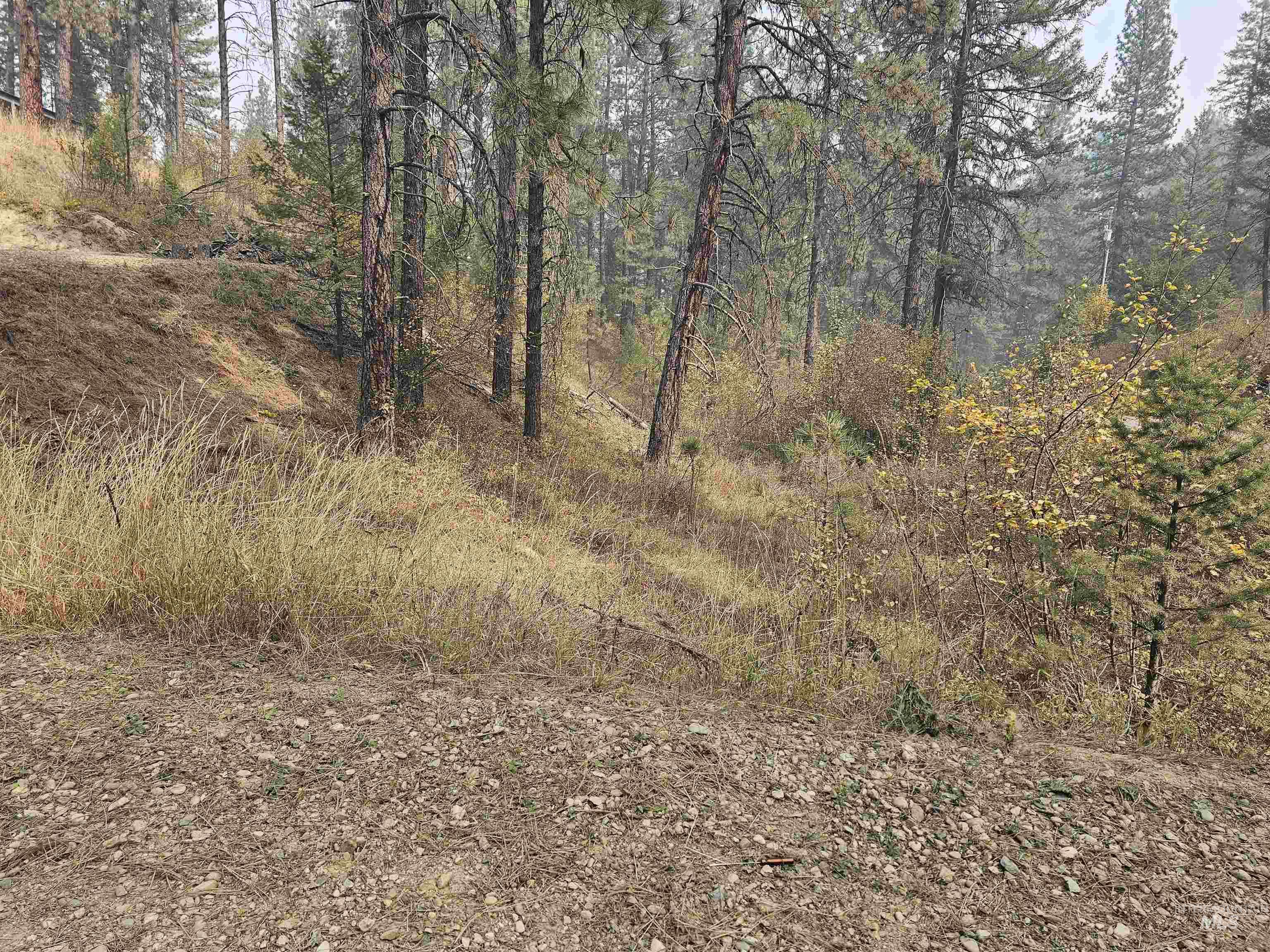 TBD Lot 53 Castle Mountain Dr, Garden Valley, Idaho 83622, Land For Sale, Price $74,000,MLS 98926525