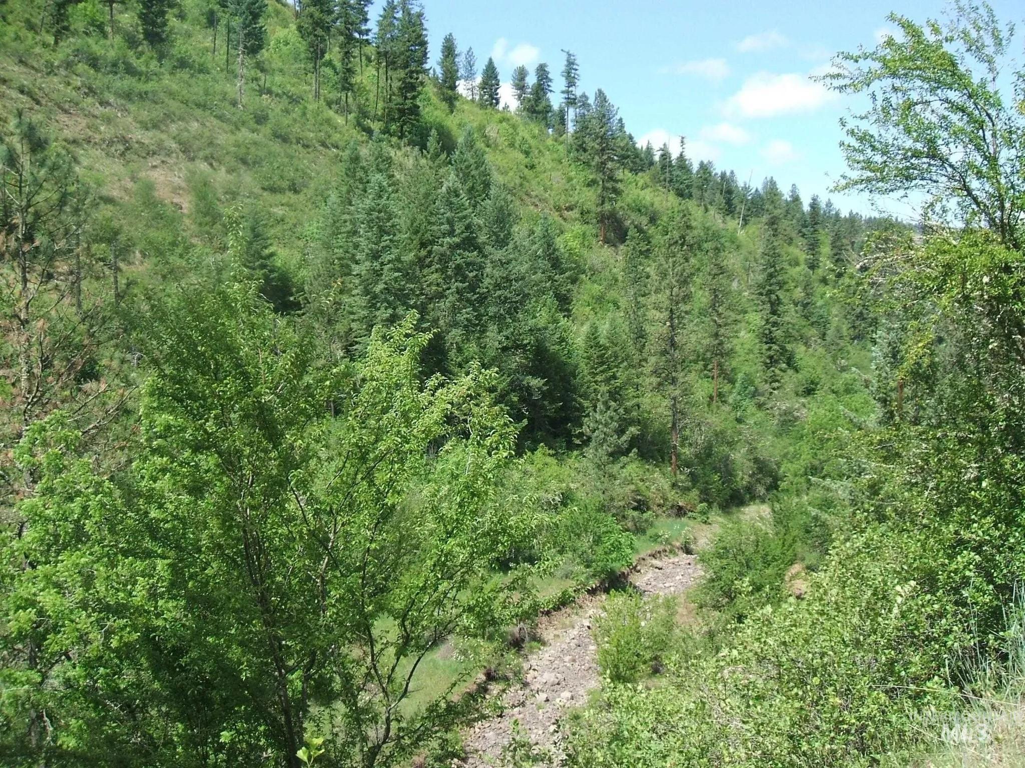 160, 204, 152 Rabbit Creek Road, Stites, Idaho 83552, Land For Sale, Price $398,000,MLS 98926621