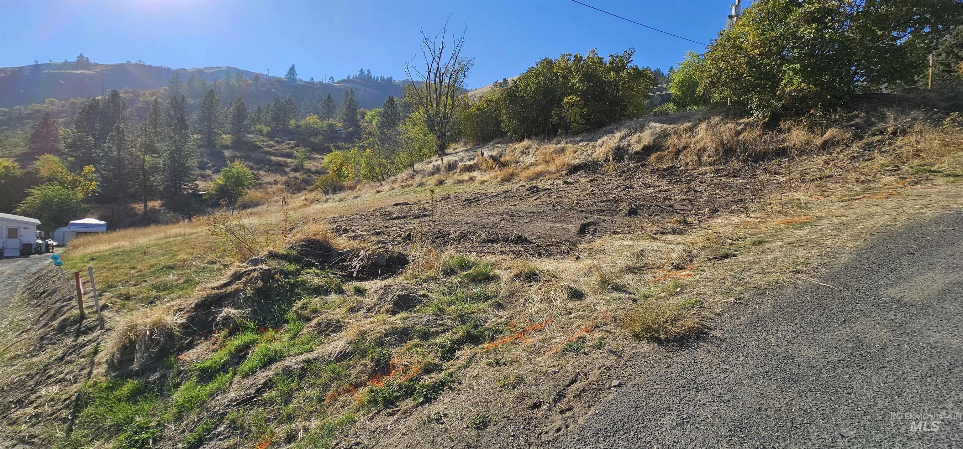 313 Lynn Ave, Juliaetta, Idaho 83835, Land For Sale, Price $45,000,MLS 98926646