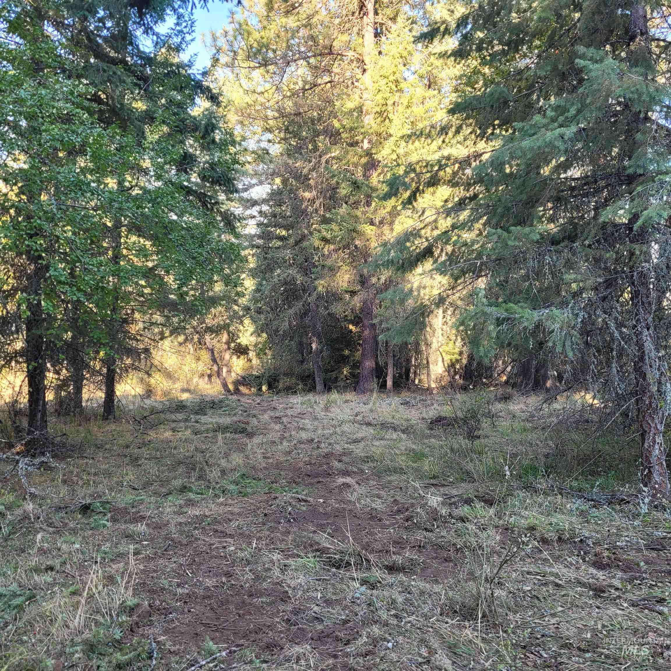 Parcel A Elk City Wagon Road, Clearwater, Idaho 83552, Land For Sale, Price $115,000,MLS 98926686