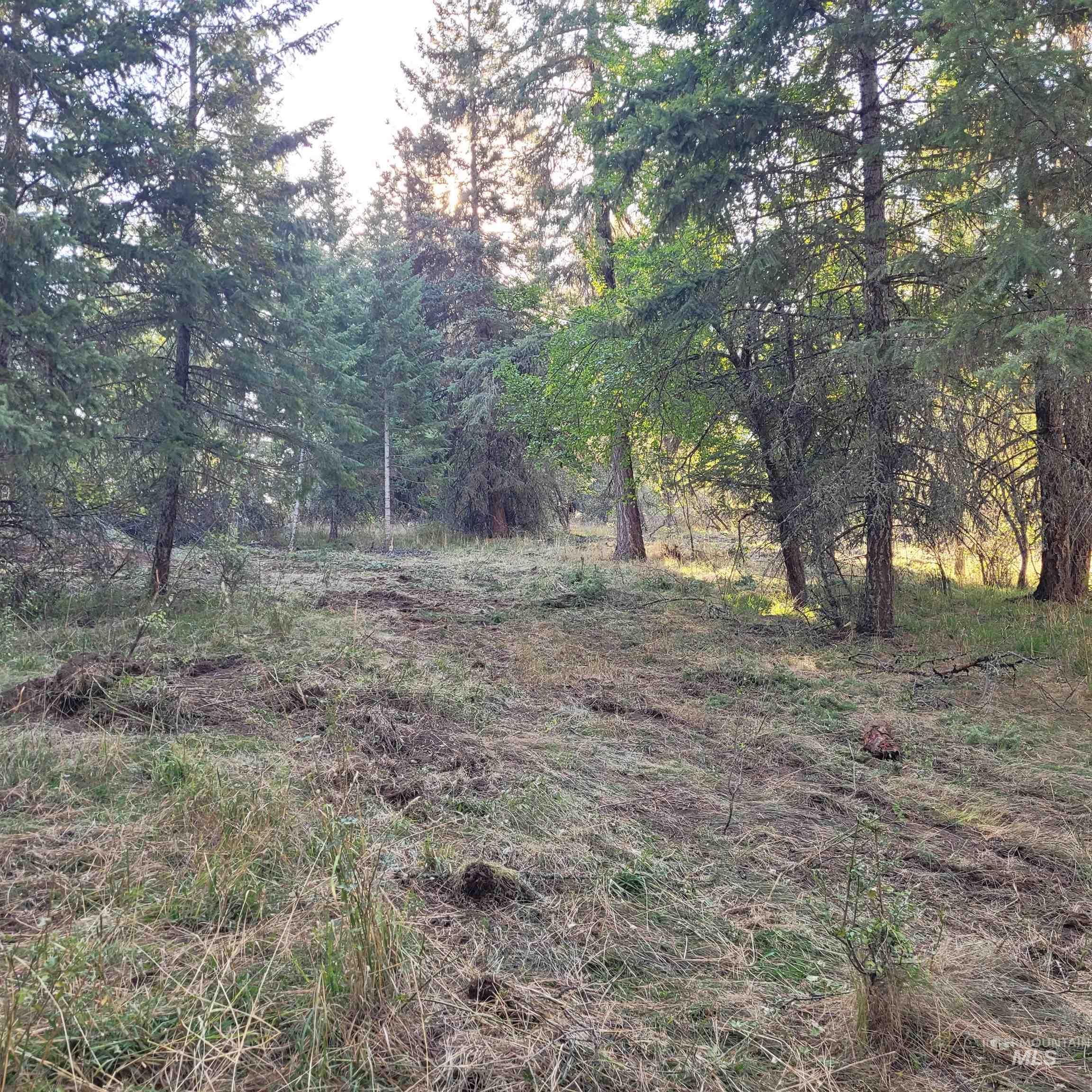 Parcel A Elk City Wagon Road, Clearwater, Idaho 83552, Land For Sale, Price $115,000,MLS 98926686