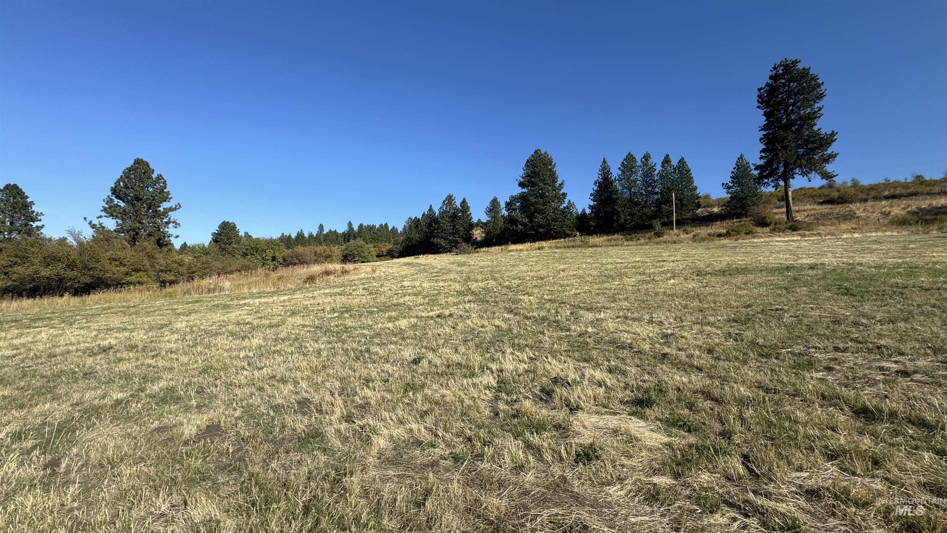 TBD Highway 13 Parcel 2, Grangeville, Idaho 83530, Land For Sale, Price $189,000,MLS 98926719