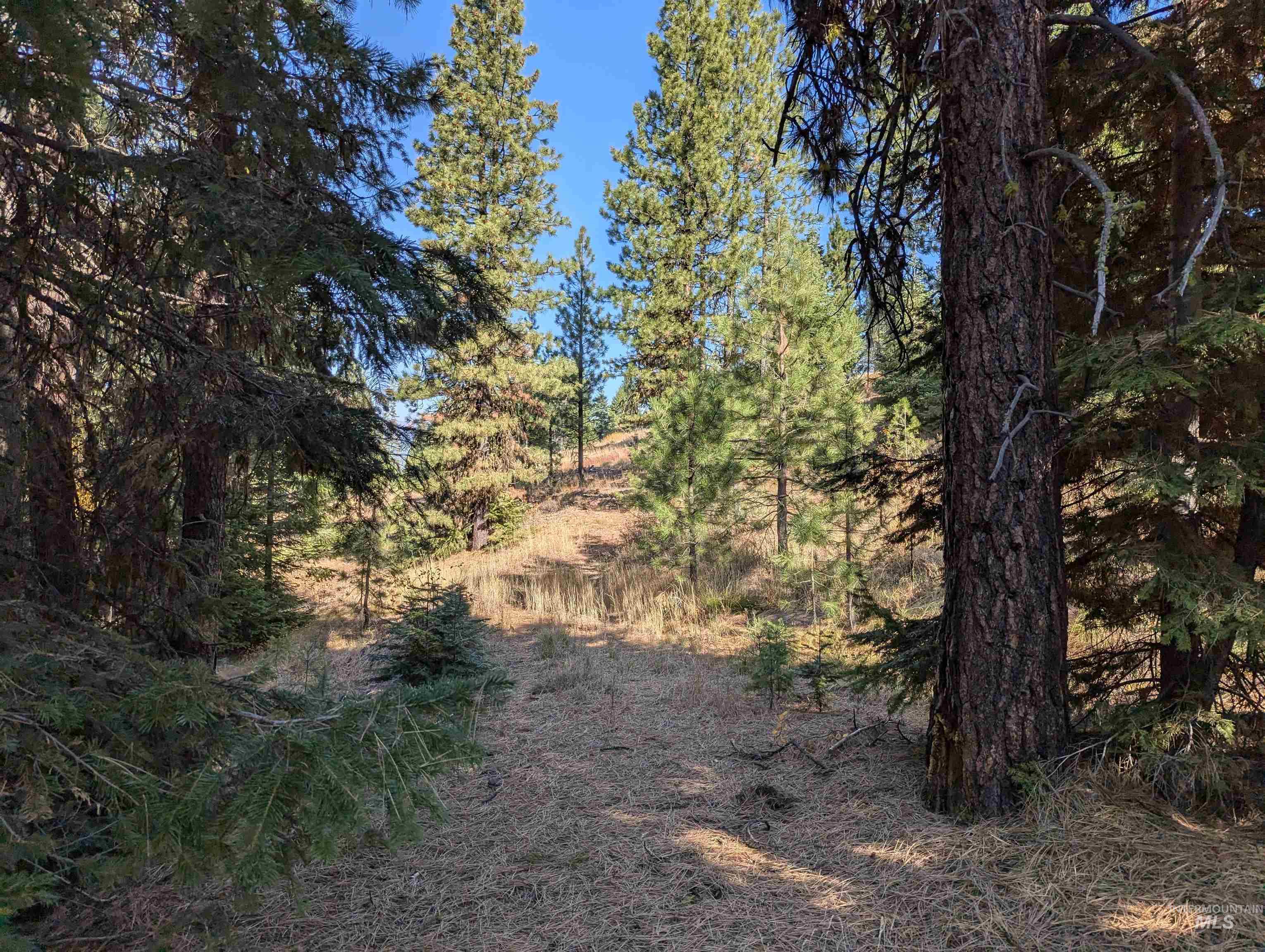 tbd Harrington, McCall, Idaho 83638, Land For Sale, Price $350,000, 98926751