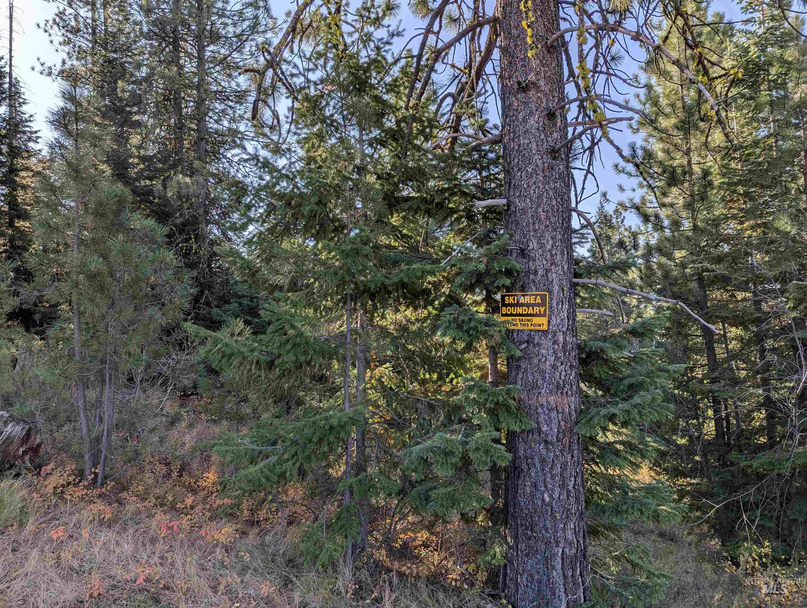 tbd Harrington, McCall, Idaho 83638, Land For Sale, Price $350,000, 98926751