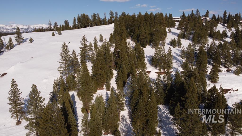 tbd Harrington, McCall, Idaho 83638, Land For Sale, Price $350,000, 98926751