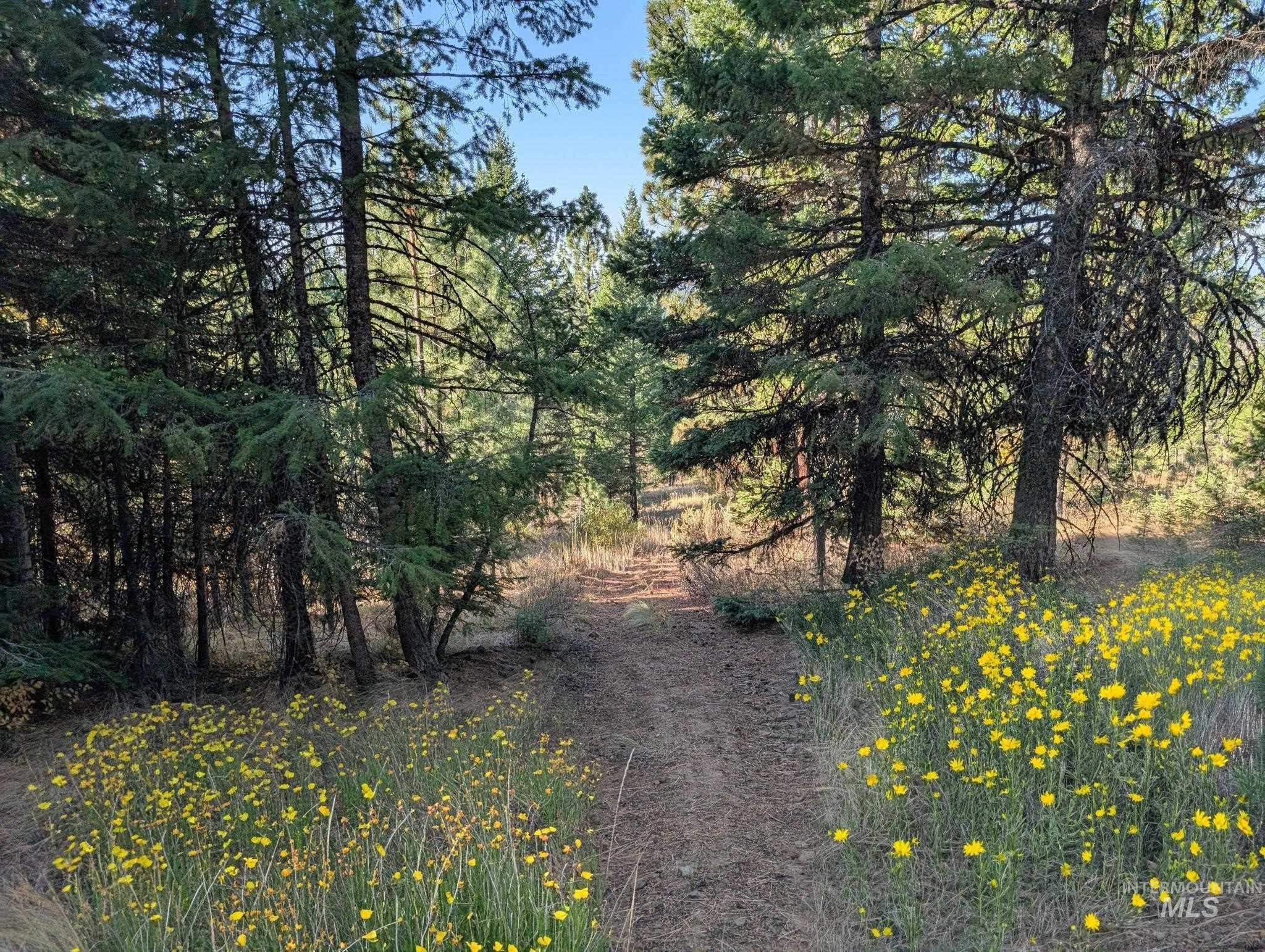 tbd Harrington, McCall, Idaho 83638, Land For Sale, Price $350,000, 98926751